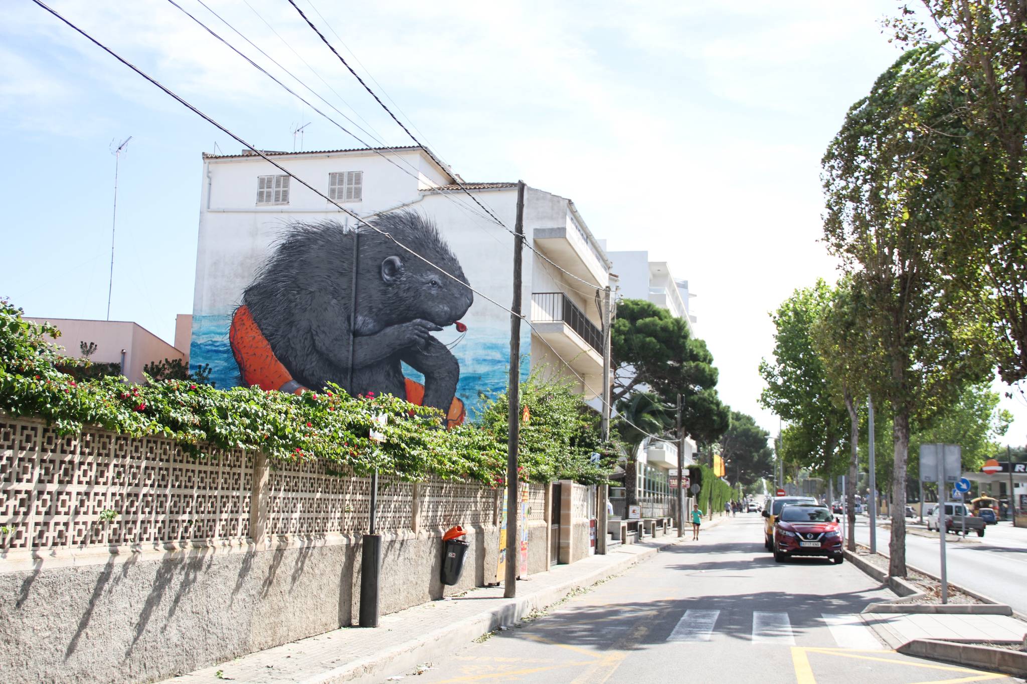 Erica Il Cane&mdash;undefined