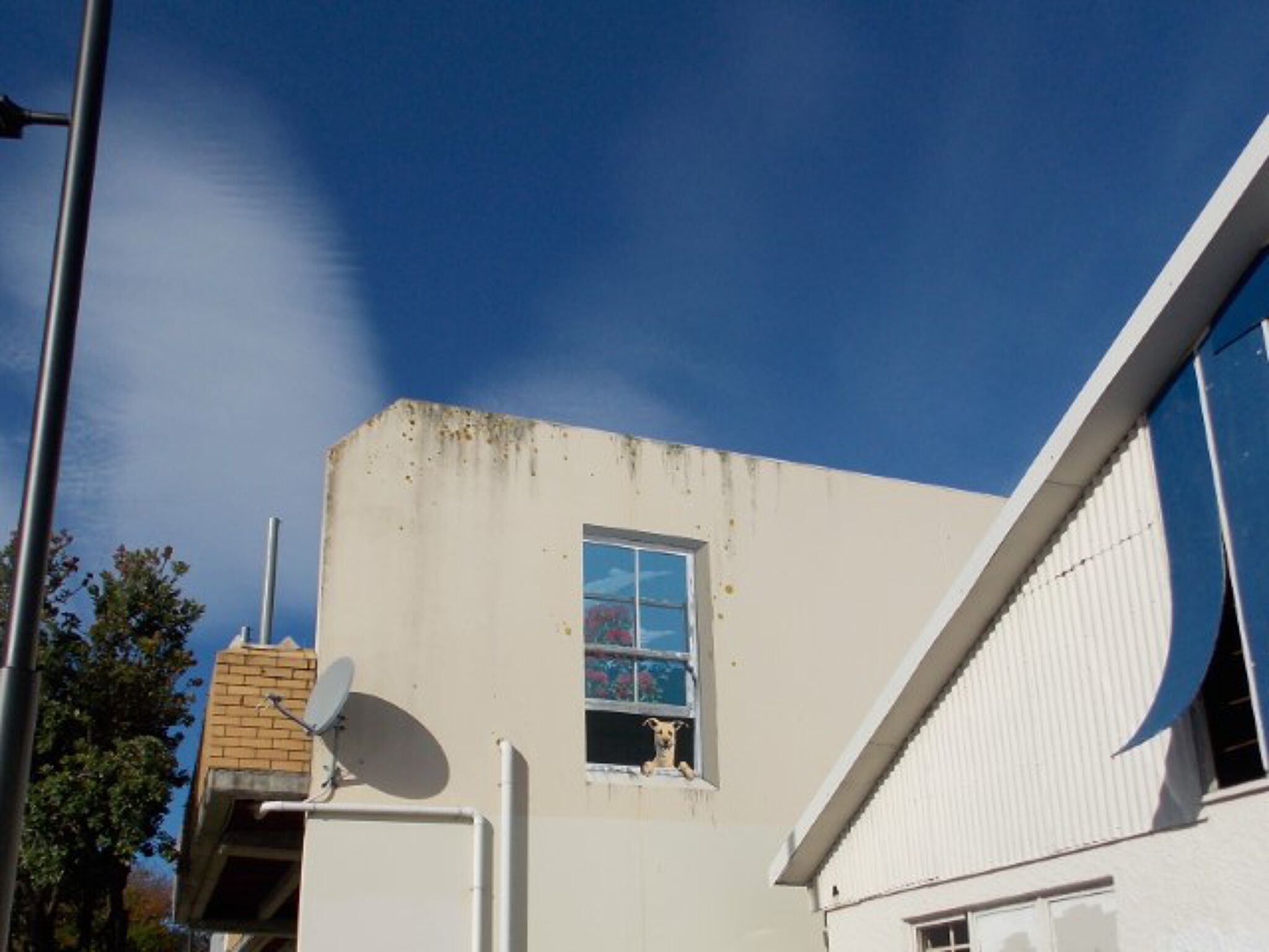Chris Finlayson&mdash;Pohutakawa