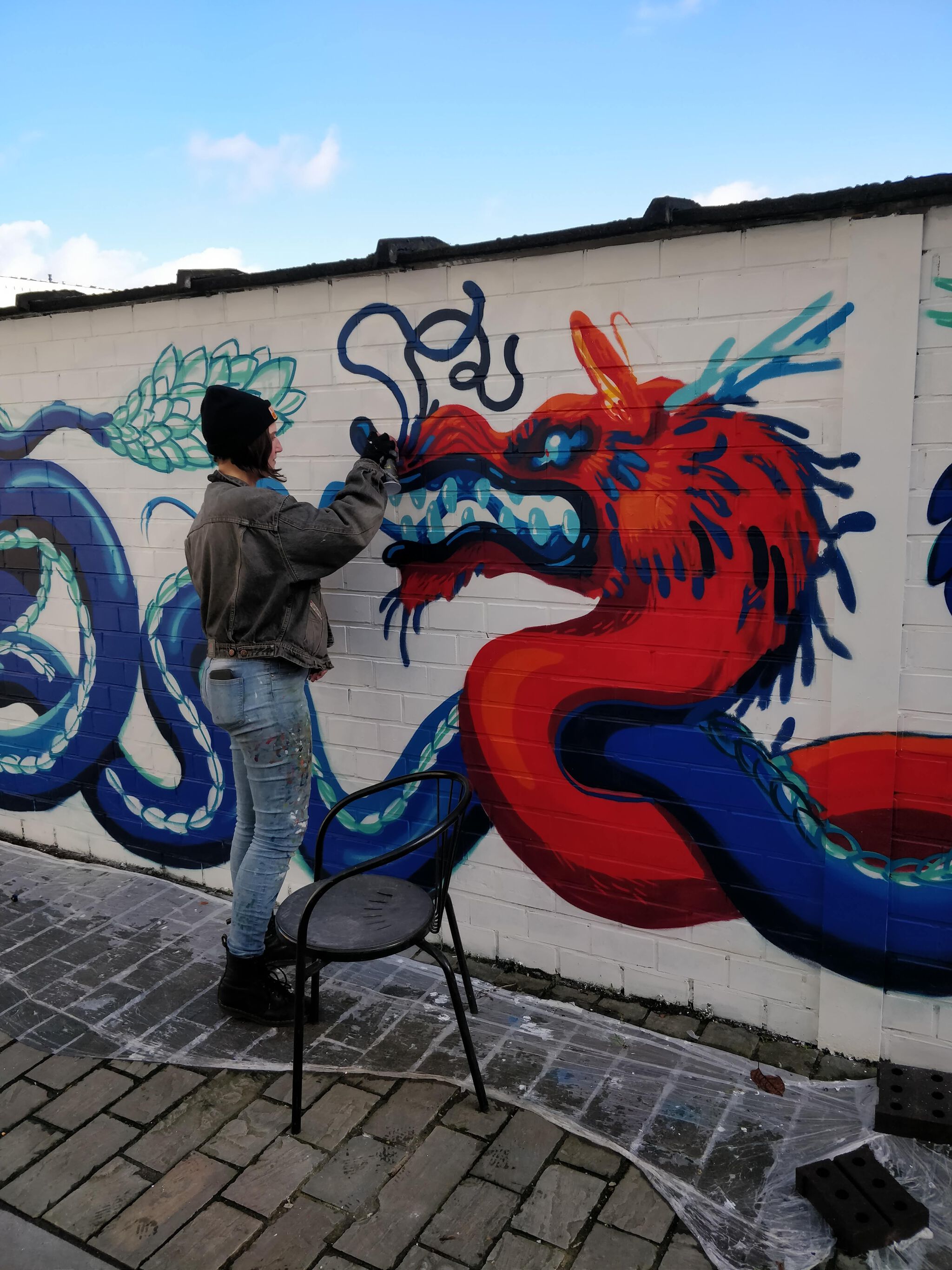 Ems Verhaert, Napam&mdash;Dragon fun