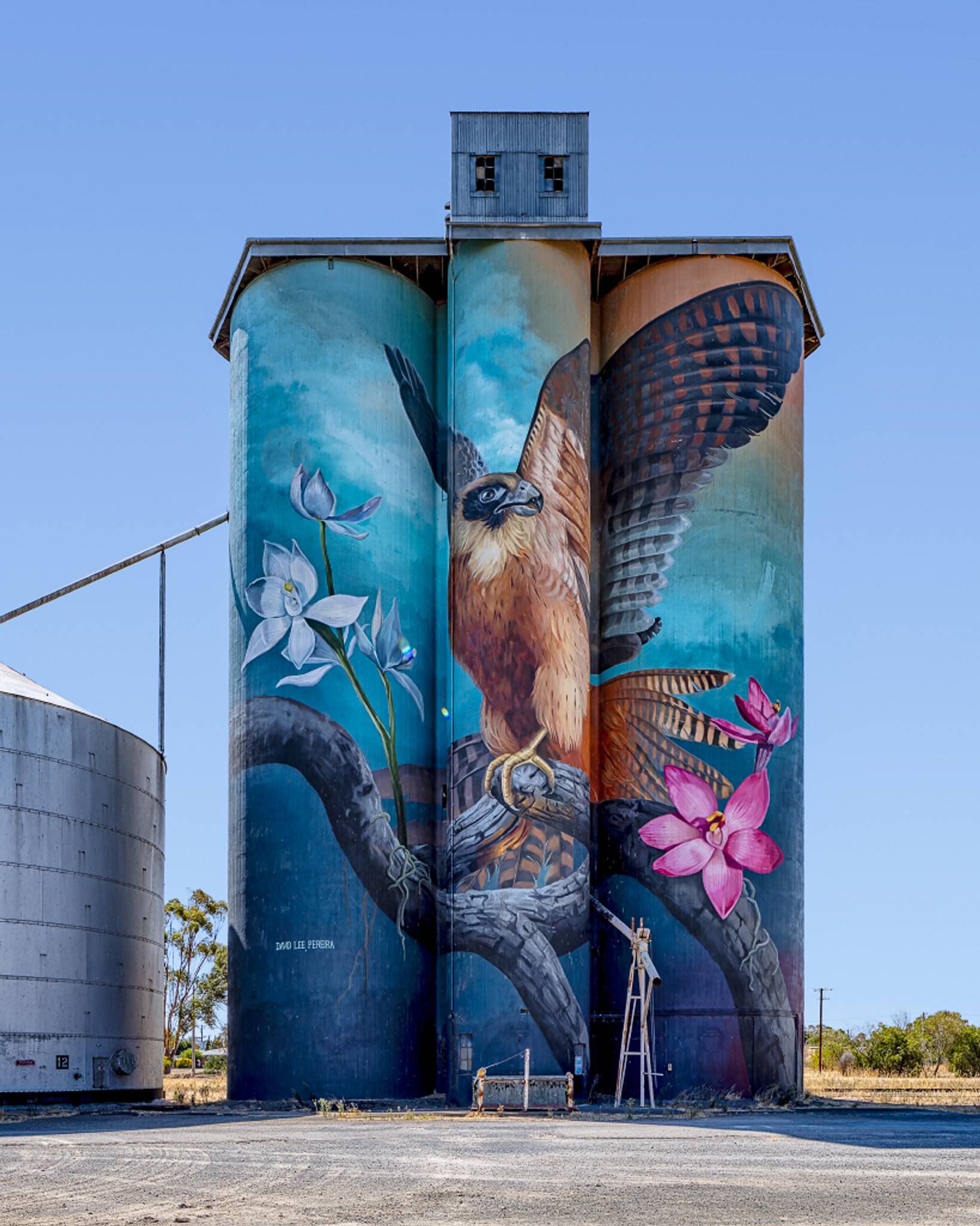 David Lee Pereira&mdash;Kaniva Silo Art