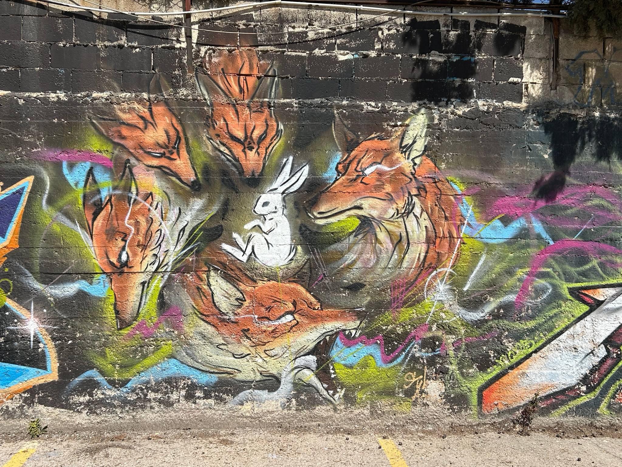 Unknown - Amman&mdash;undefined