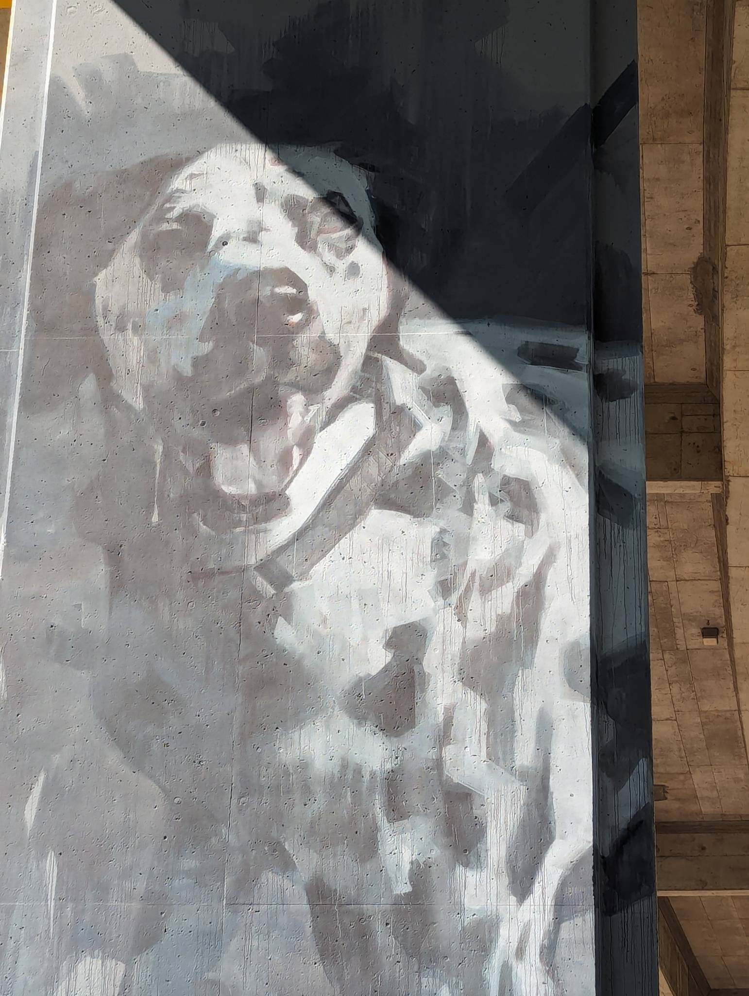 Jarus&mdash;Dog