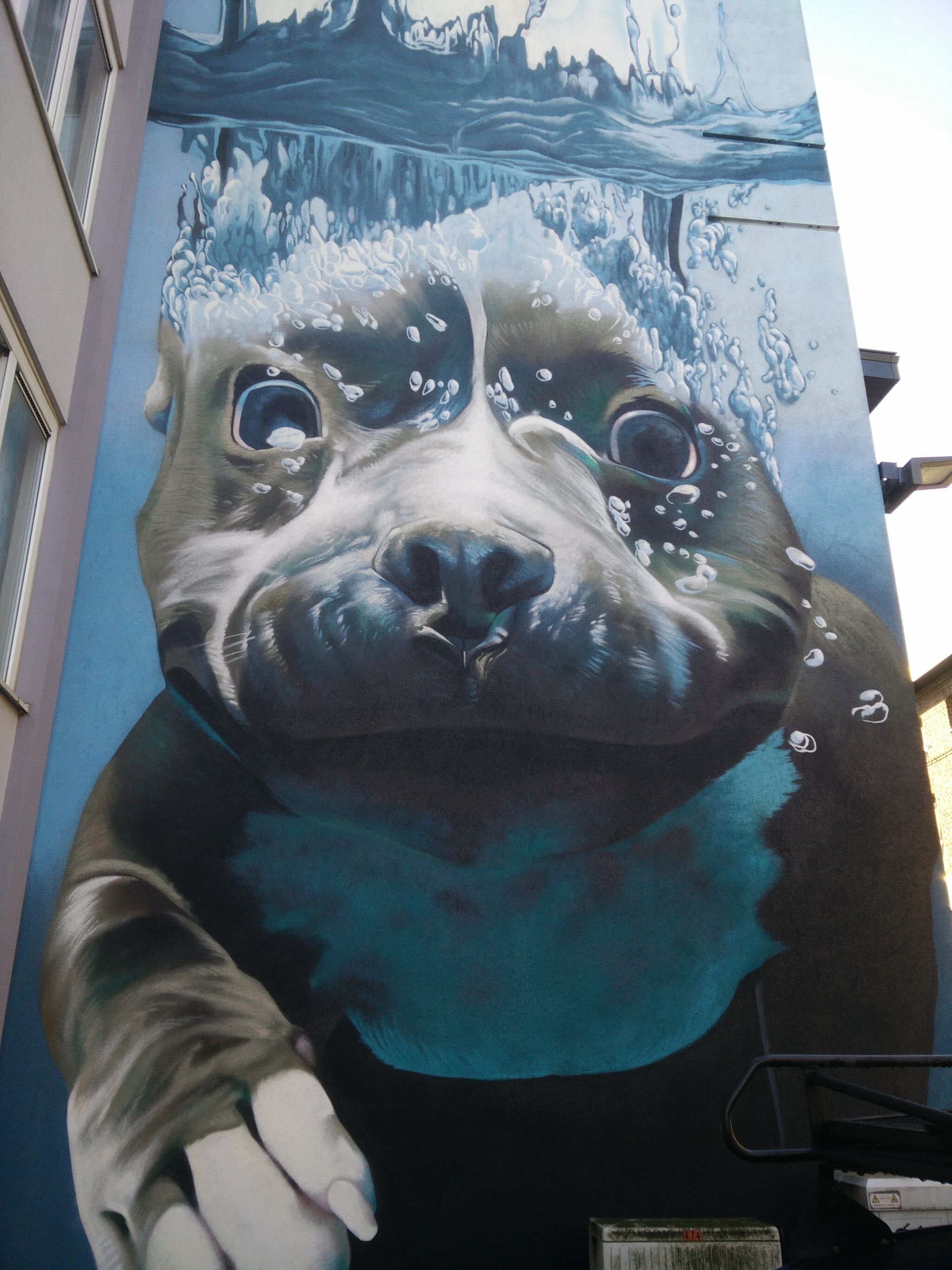 Smates&mdash;Underwater Dog