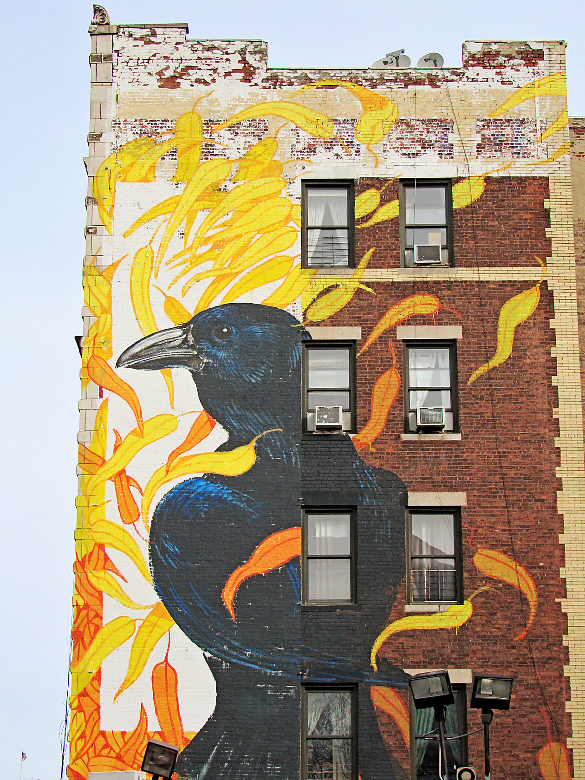 Hitnes&mdash;Fish Crow