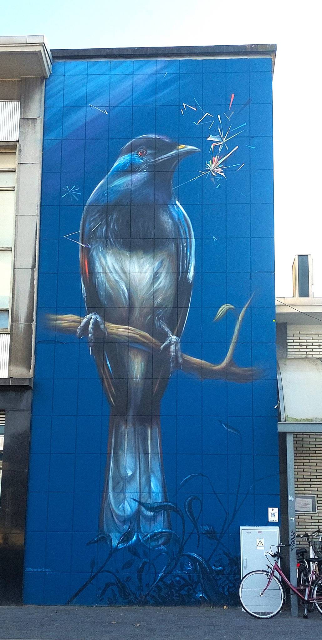 Collin van der Sluijs&mdash;The magpie