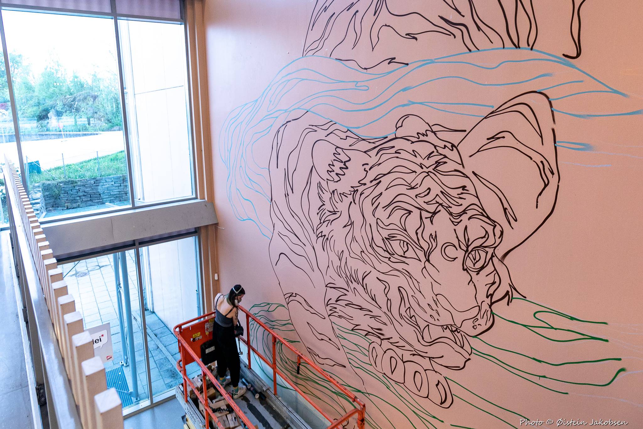 &mdash;The Tiger at KLUS - and the making of it