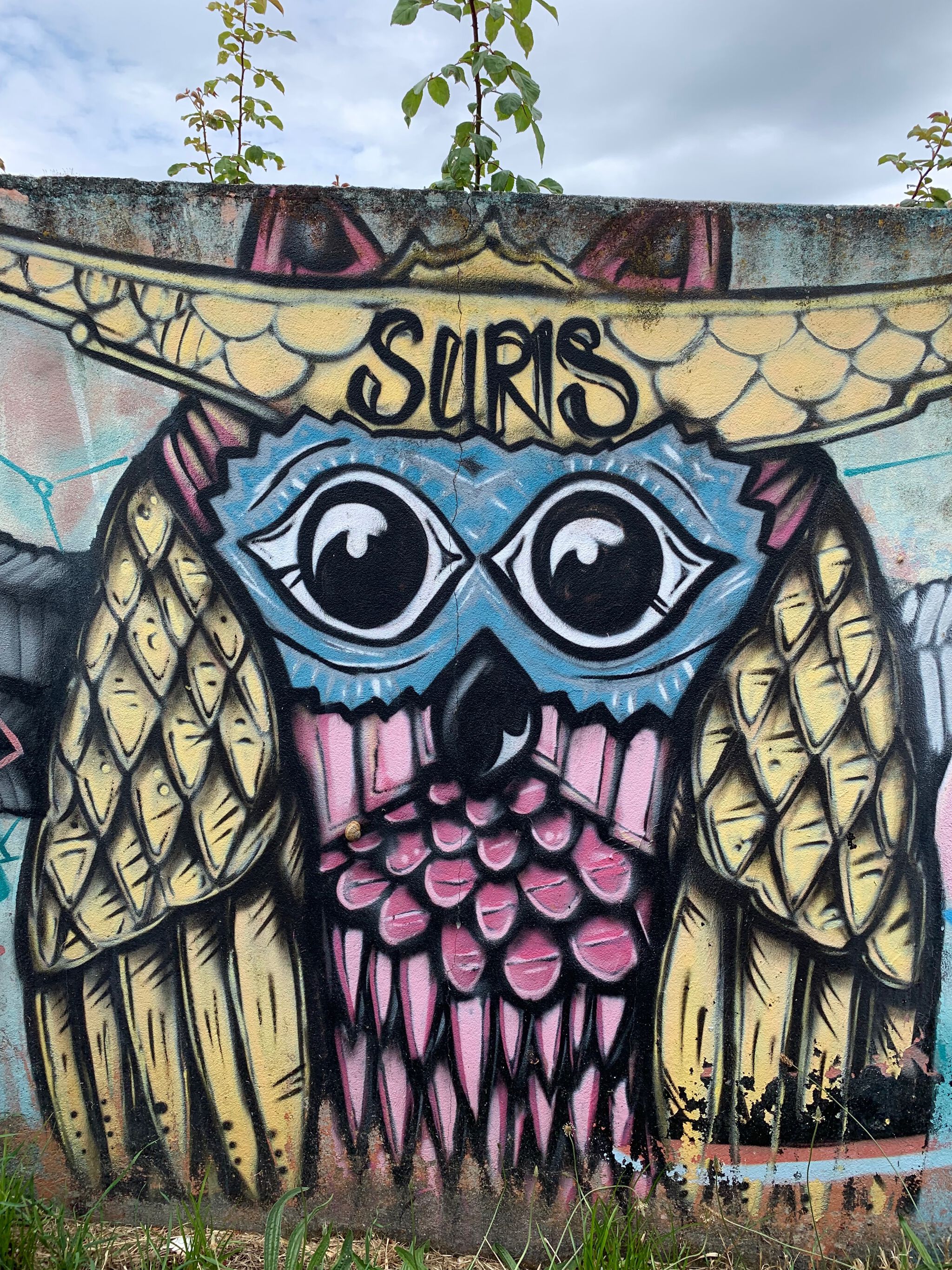 Suris&mdash;Untitled