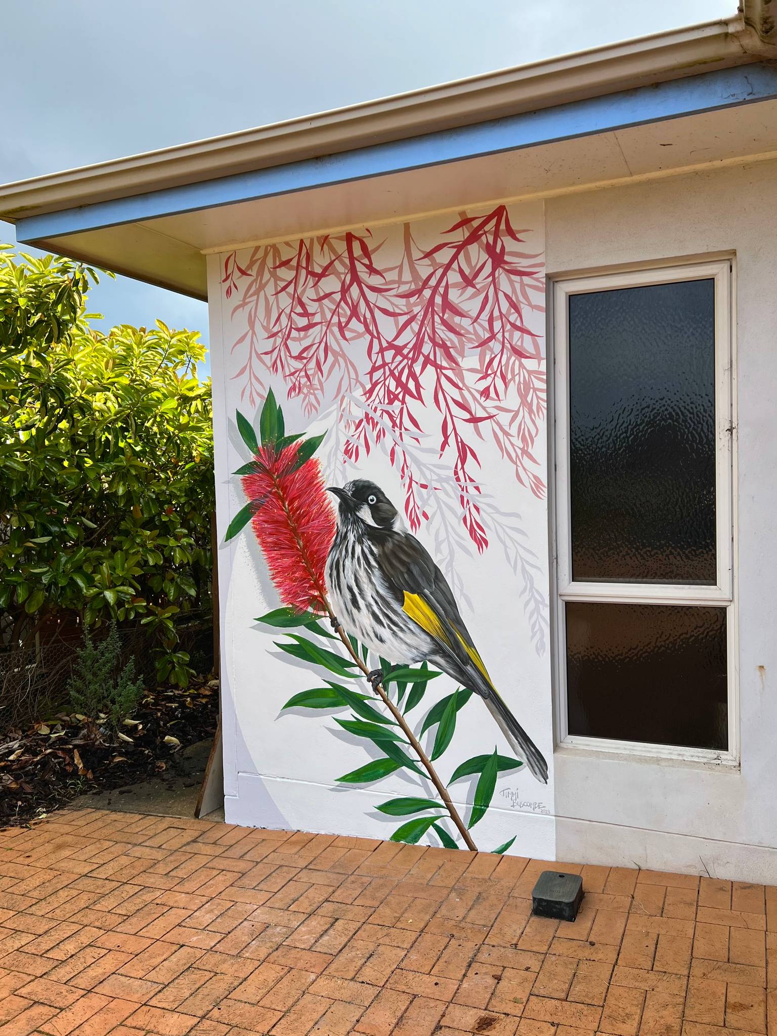 Jimmi Buscombe&mdash;New Holland Honeyeater