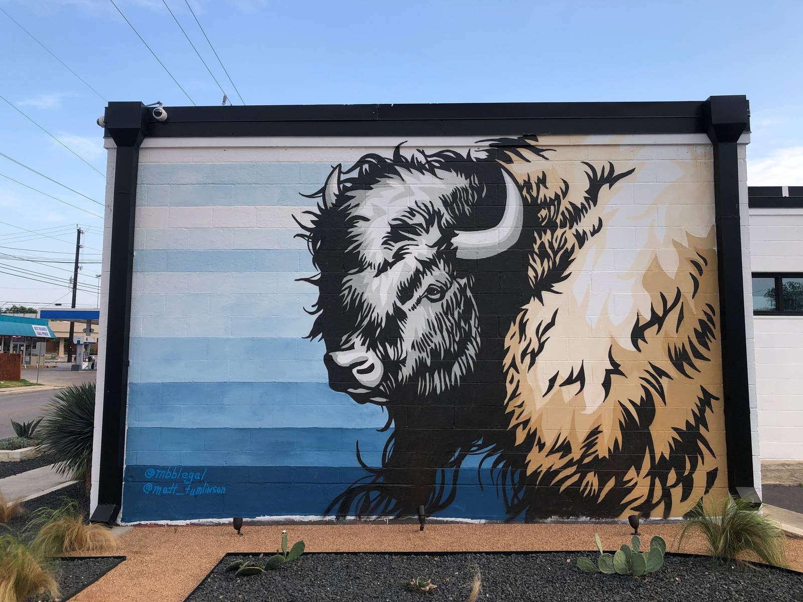 Matt Tumlinson&mdash;Bison or Buffalo?