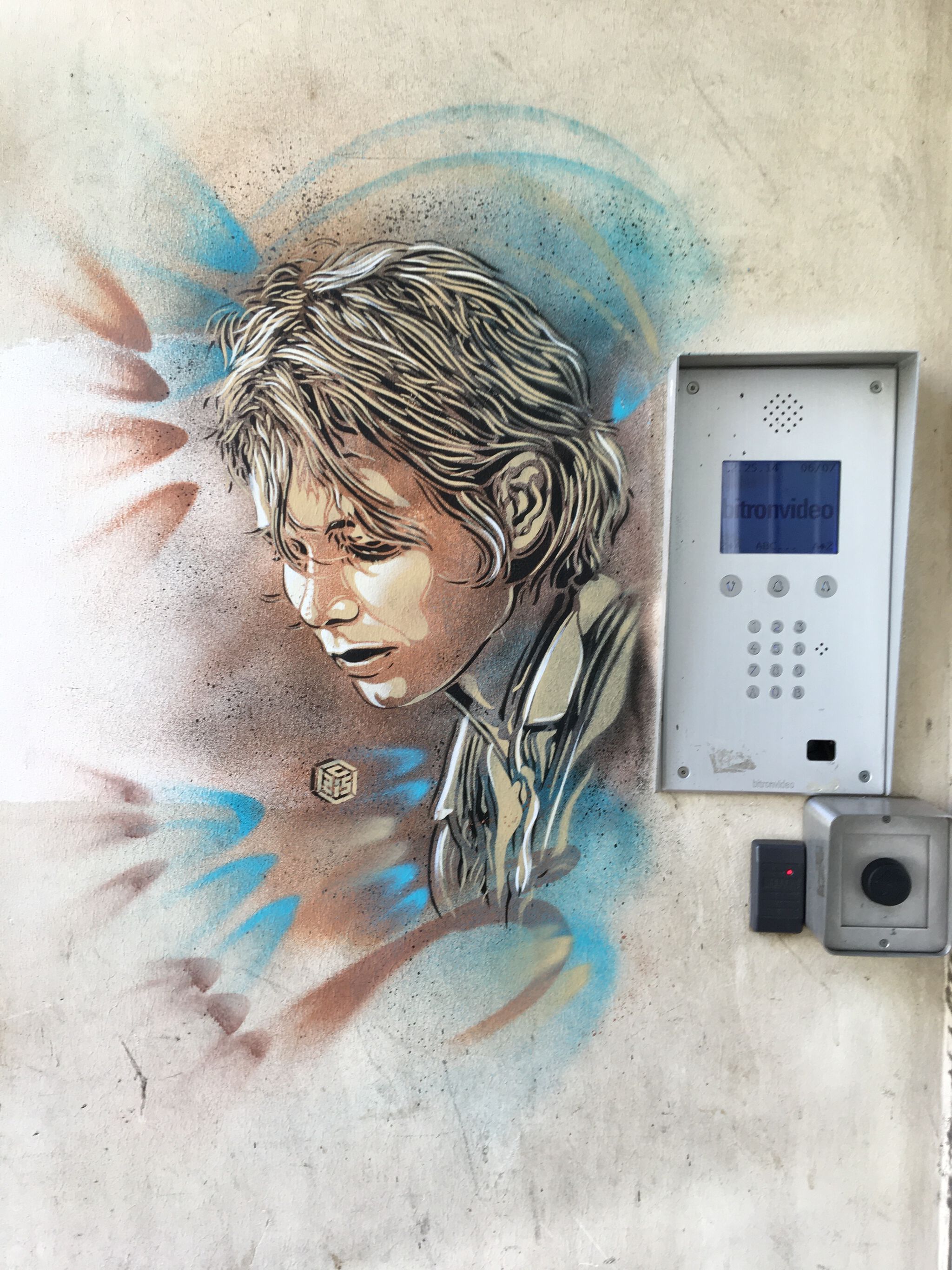 C215&mdash;Portrait de Sigolène Vinson