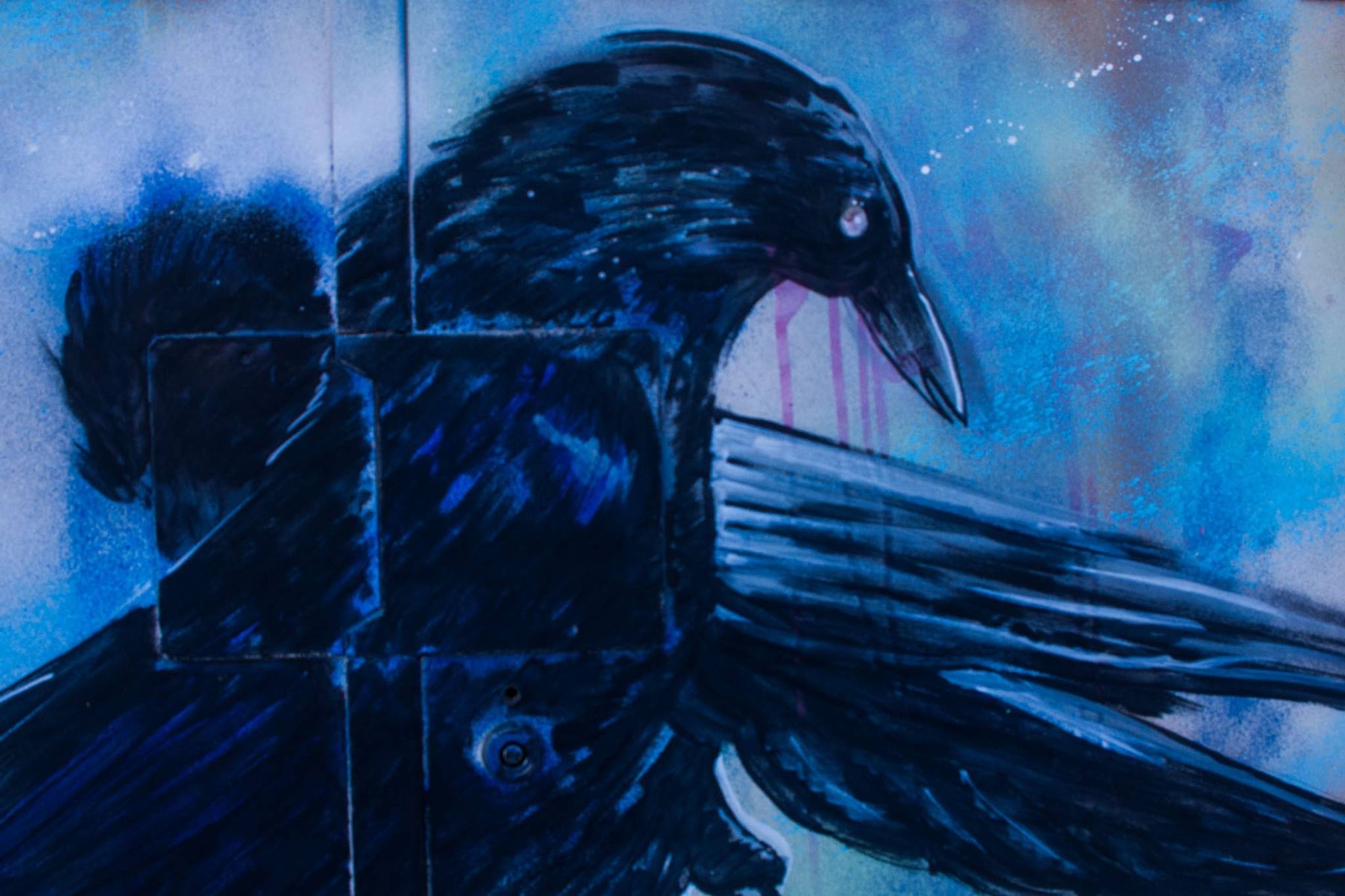 Rikki Marr&mdash;Crows