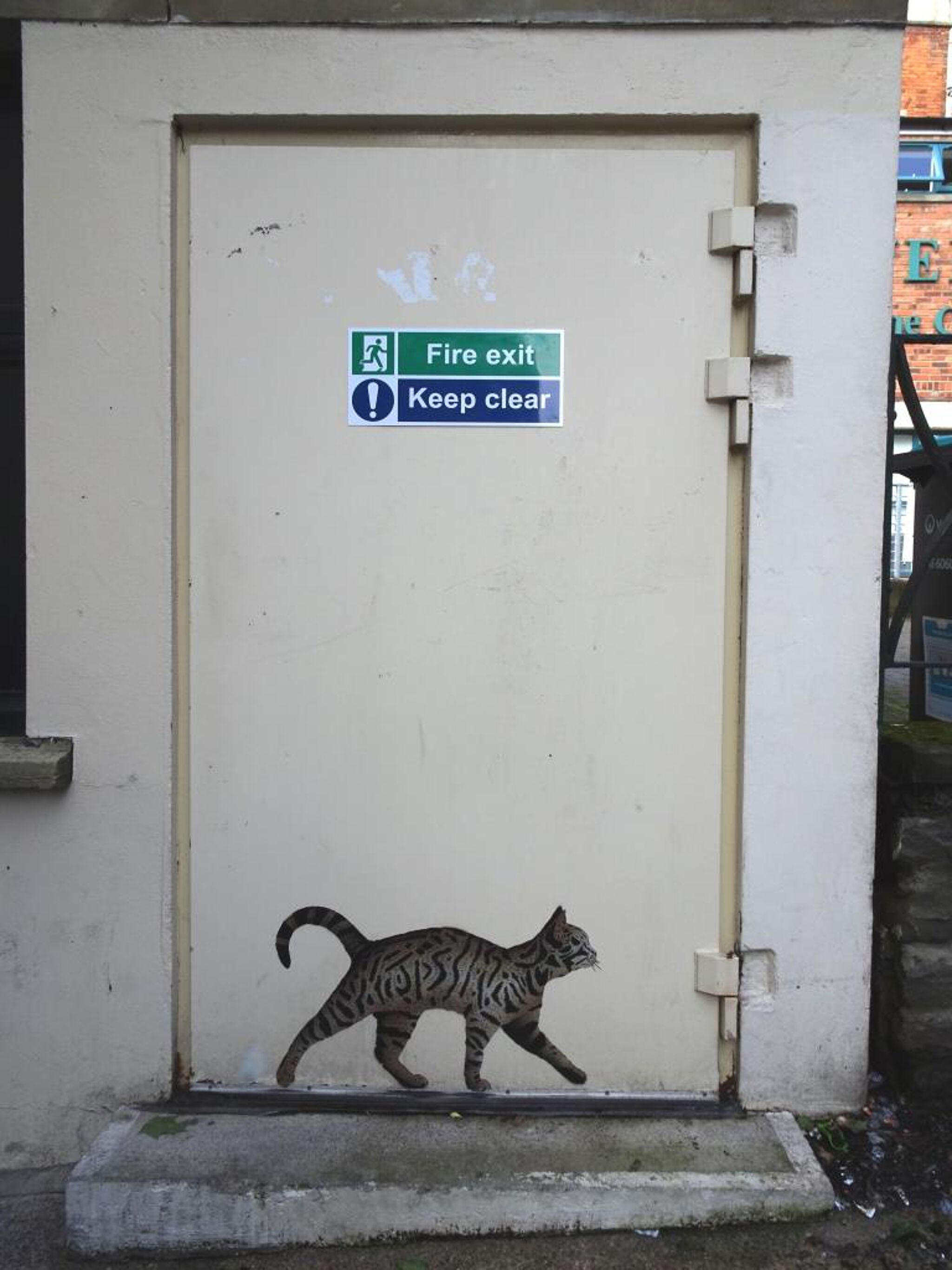 JPS&mdash;Cat