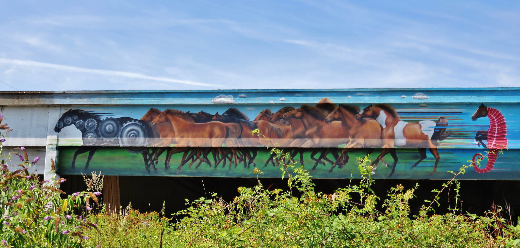 Cee Pil&mdash;DOK animals