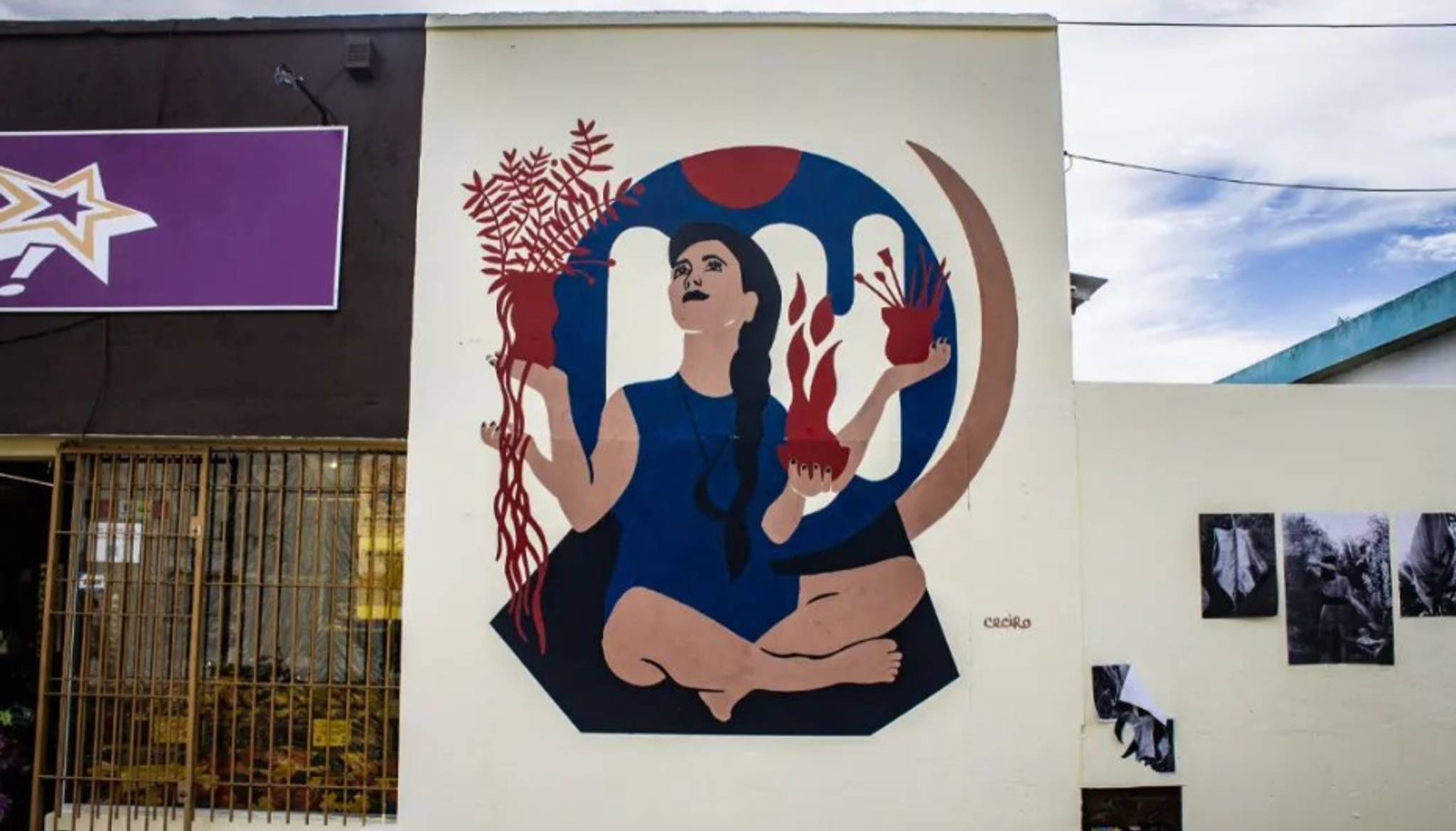 Ceci RO&mdash;Mujer Semilla