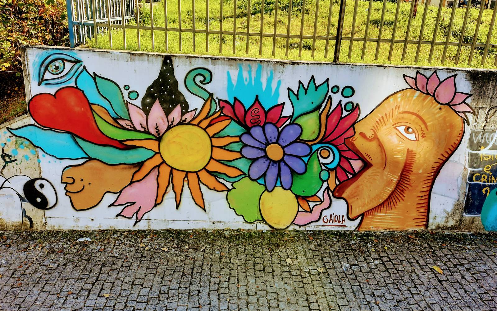 Gonçalo Gaiola&mdash;undefined