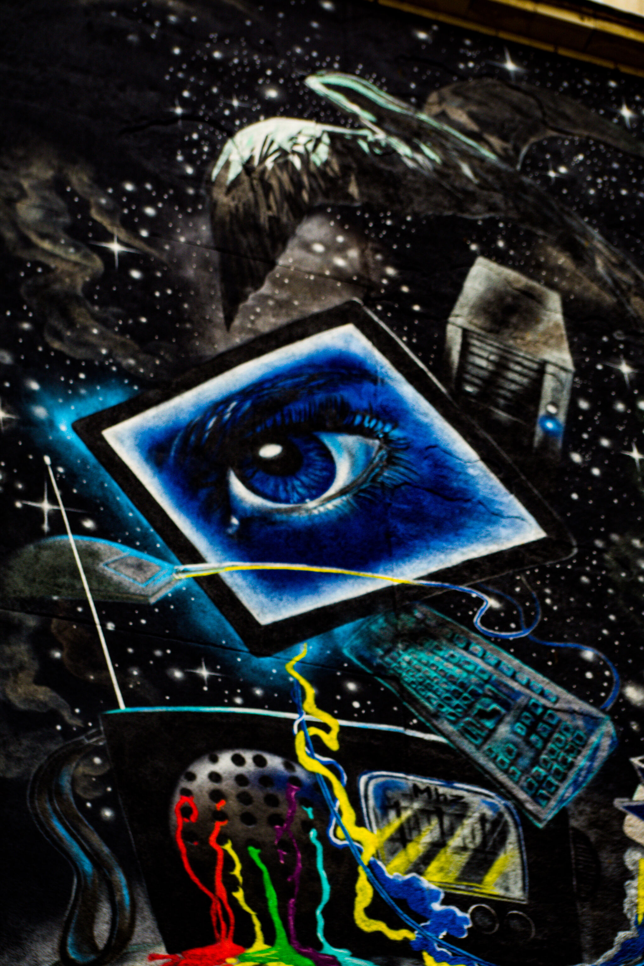 Silver Seeblum&mdash;TV House