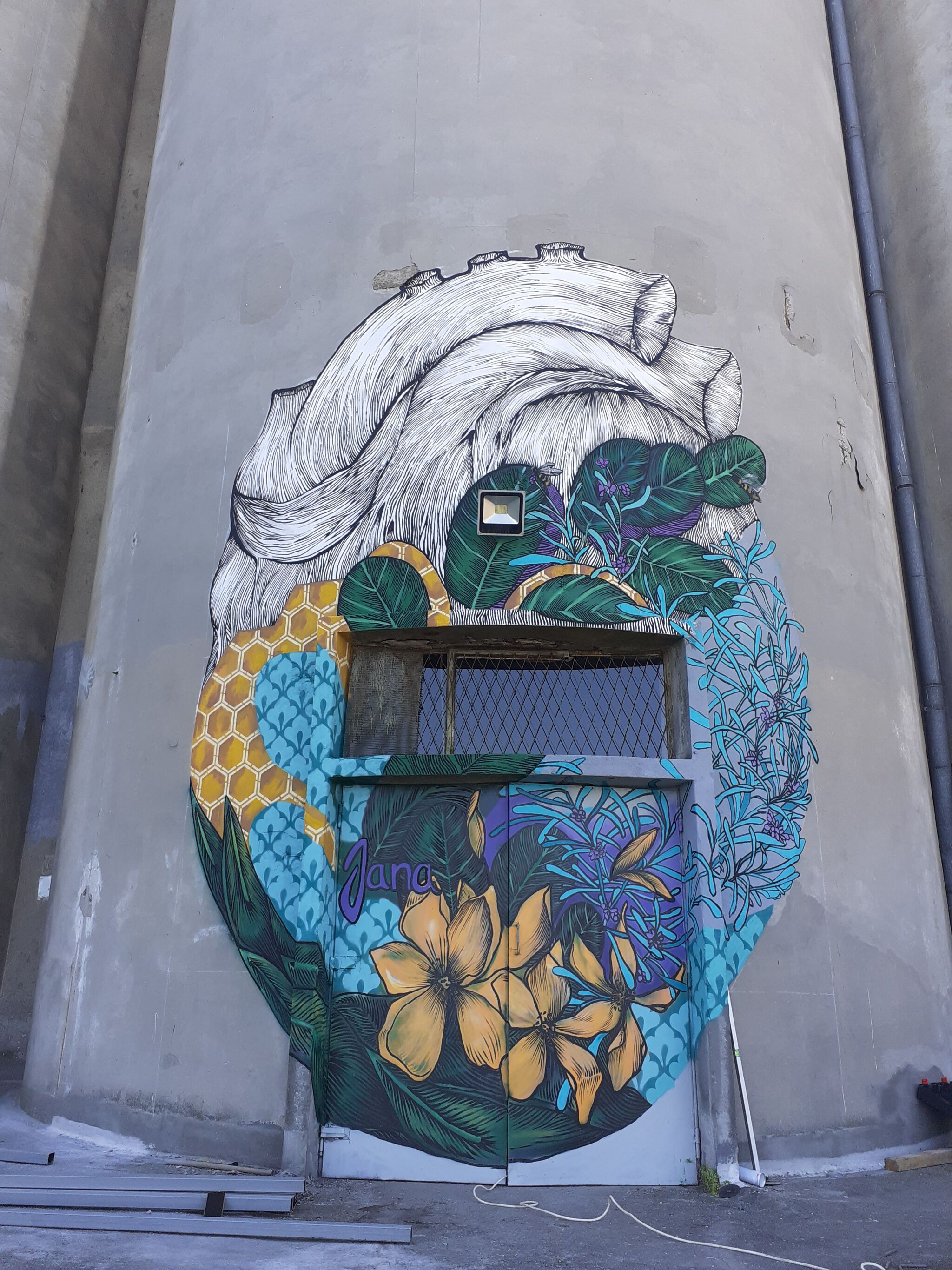 Jana Danilović&mdash;The Silo Mural