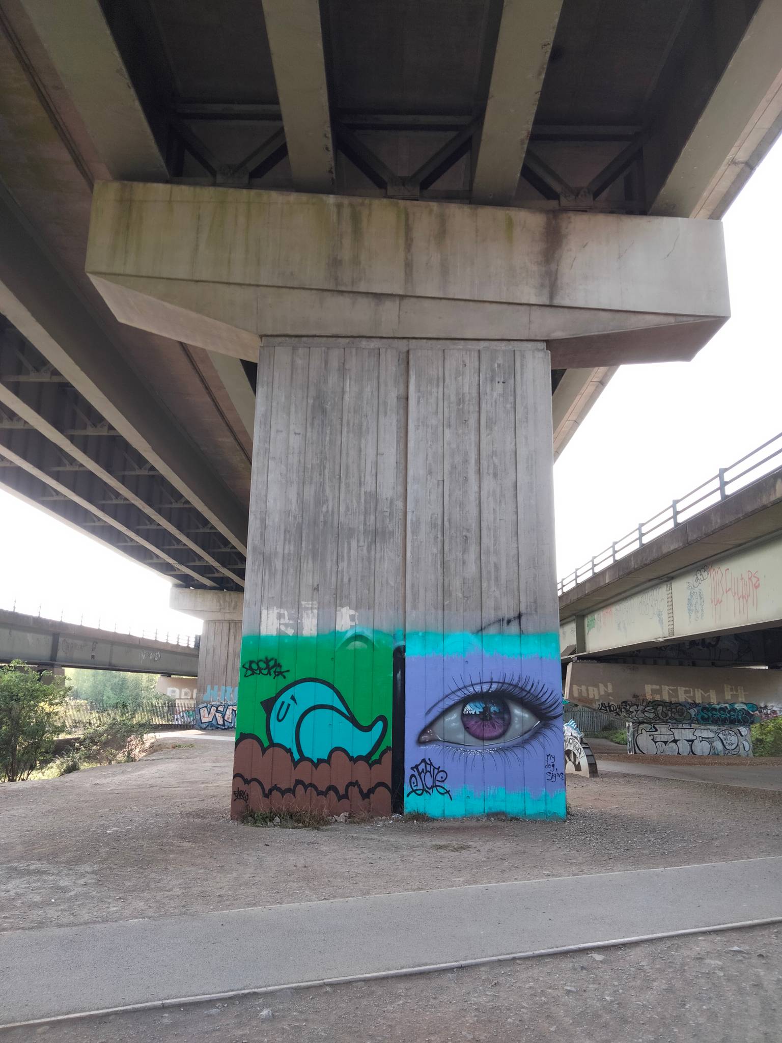 My Dog Sighs&mdash;Eyeball