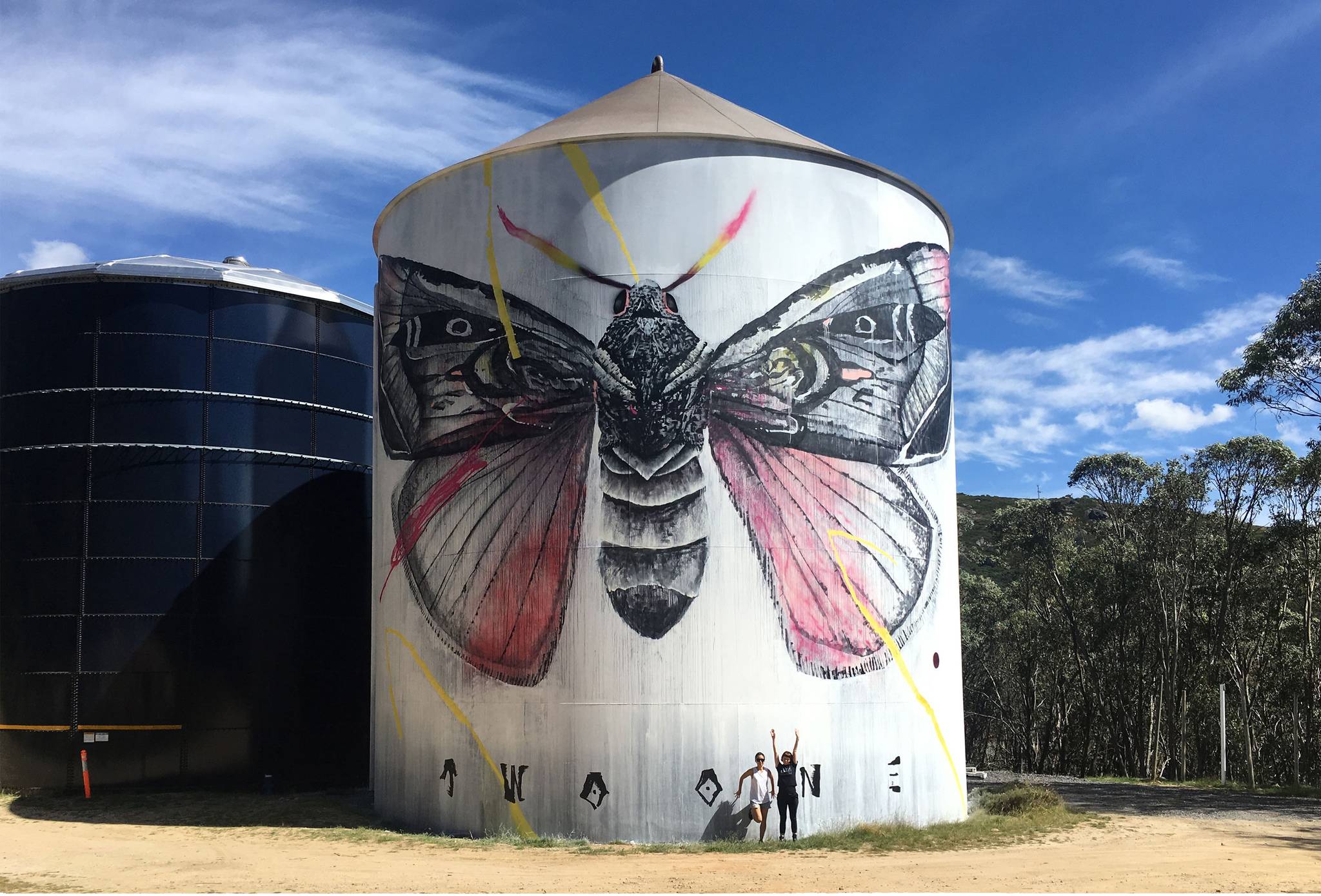 Twoone&mdash;Falls Creek Water Tank Art