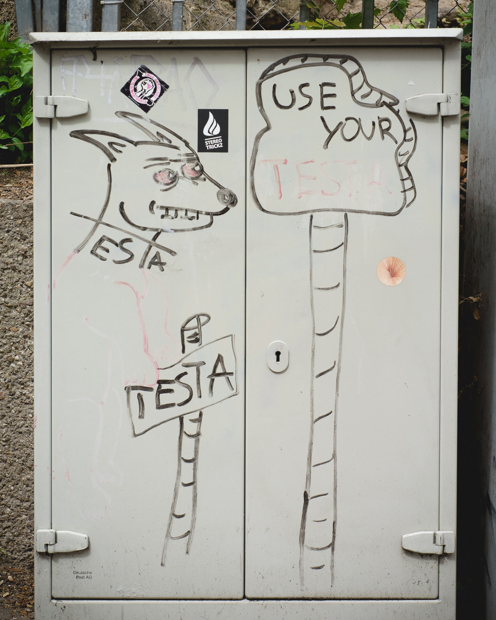 Testa&mdash;Untitled