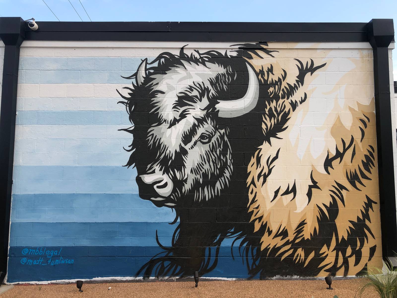 Matt Tumlinson&mdash;Bison or Buffalo?