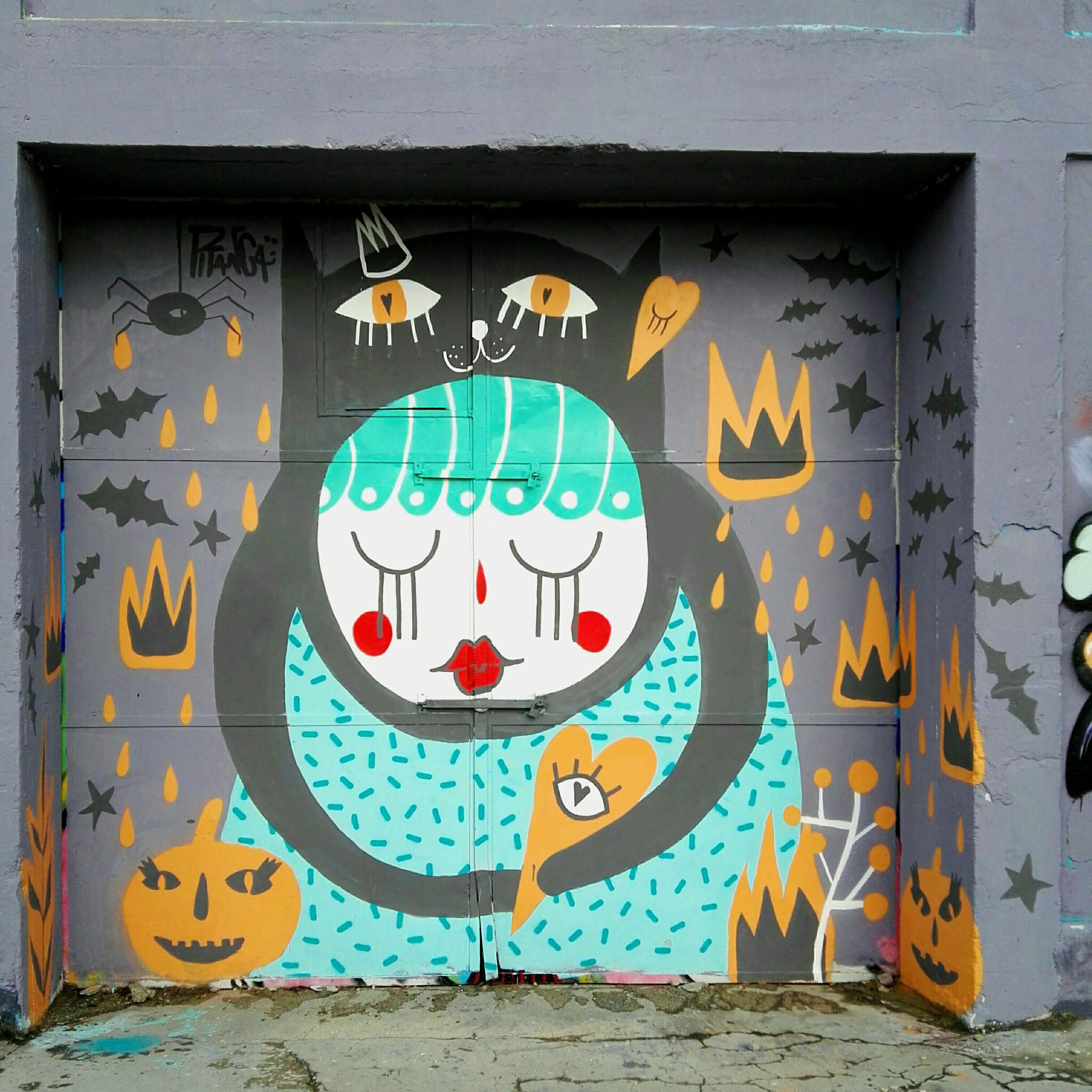 pitanga&mdash;black cat