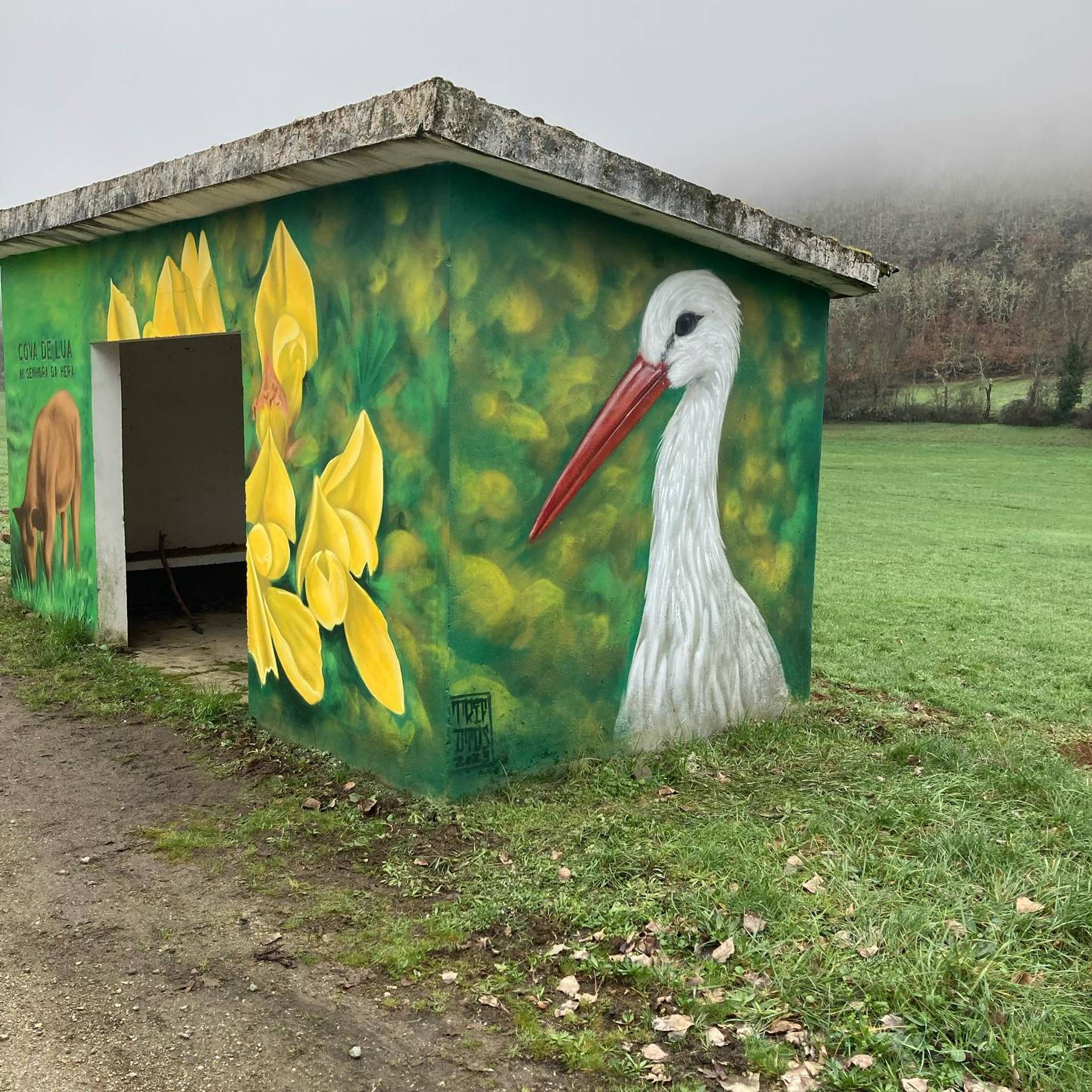 TripDTOS&mdash;Fauna e flora do local