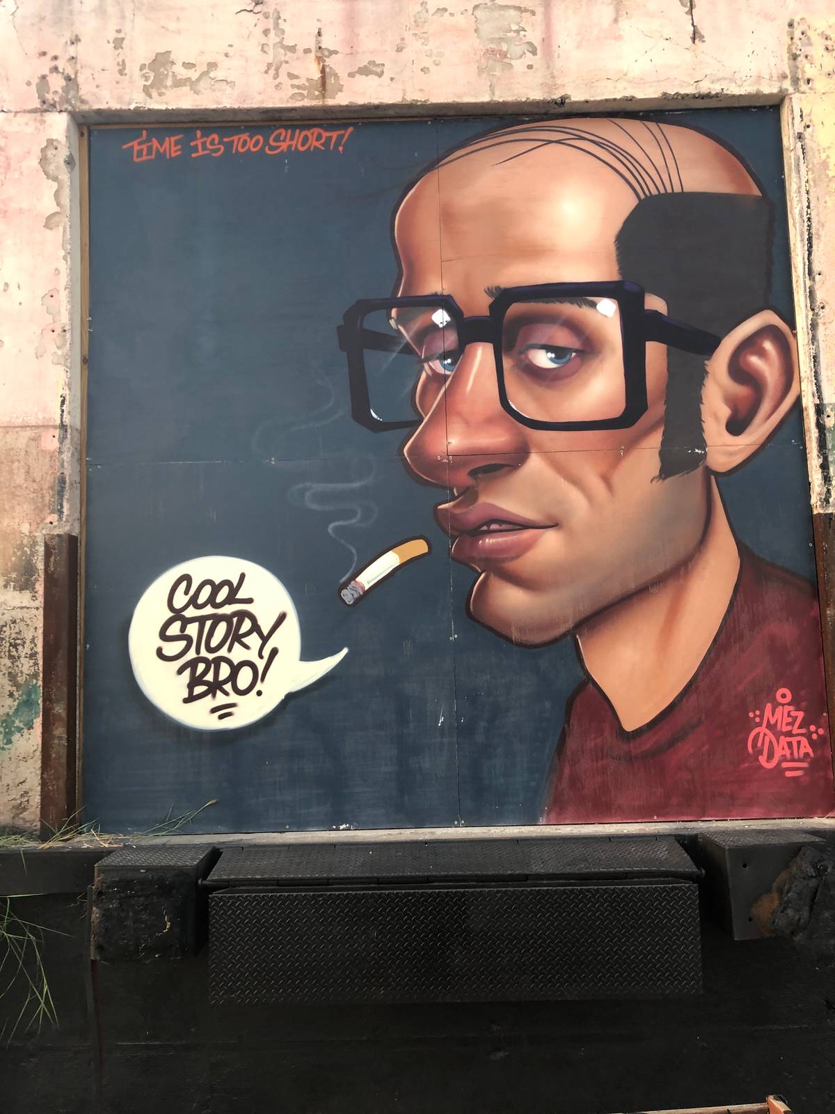 Mez Data&mdash;Cool Story Bro!