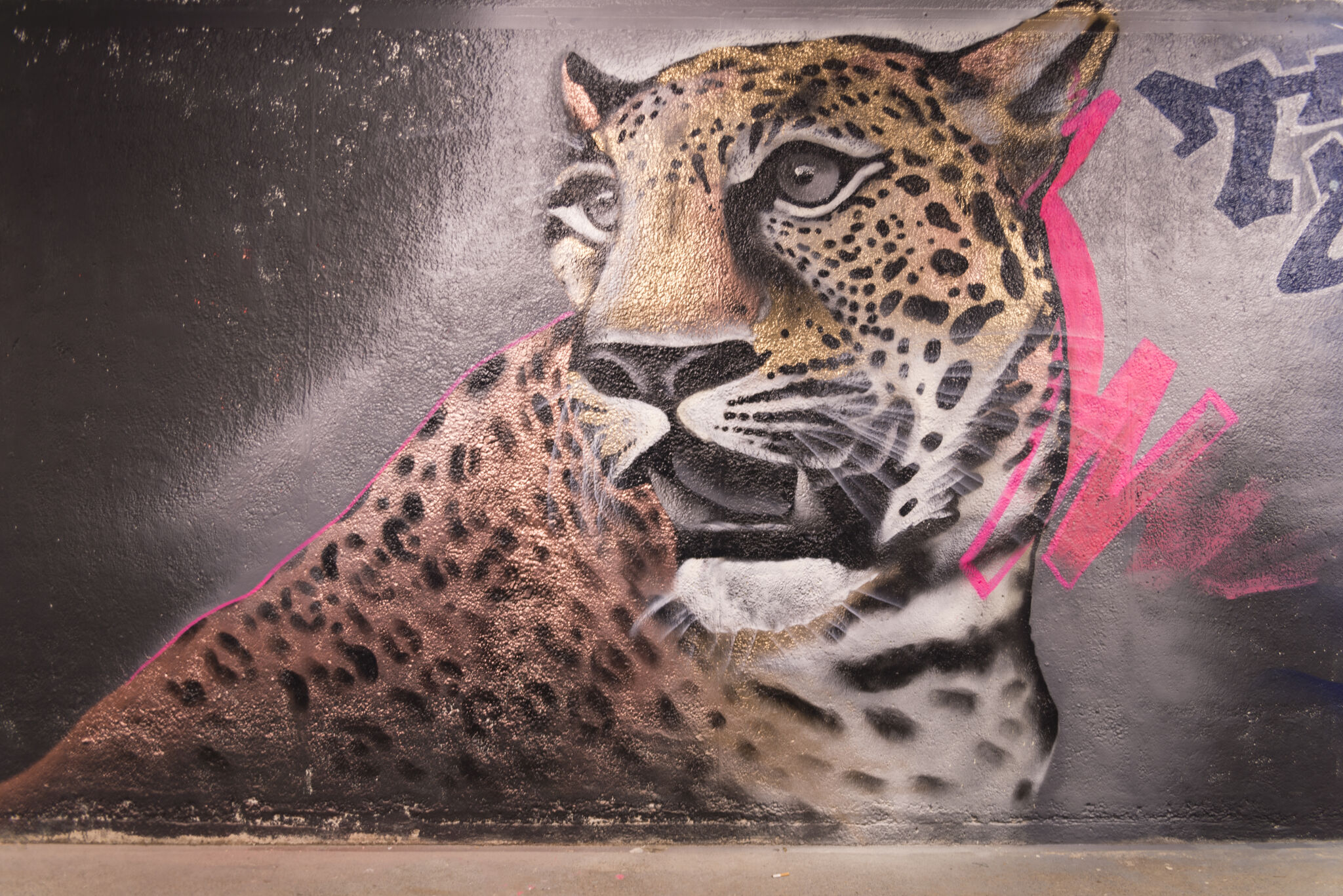 Sapo, Nash, TCK, Ives One, Trendkill Stencils&mdash;Bospoorttunnel