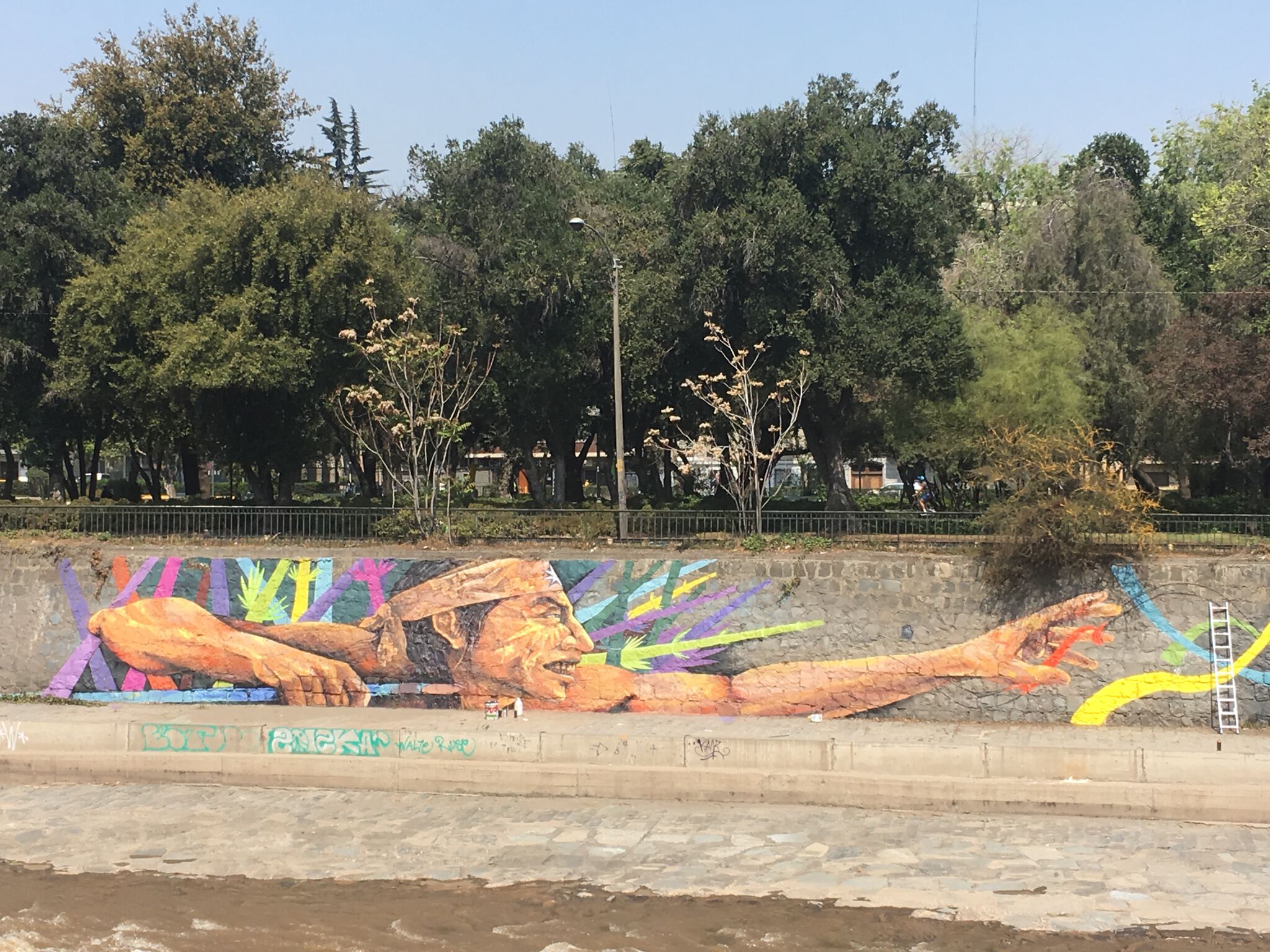 ColectivoCausa&mdash;Resistencia Cultural