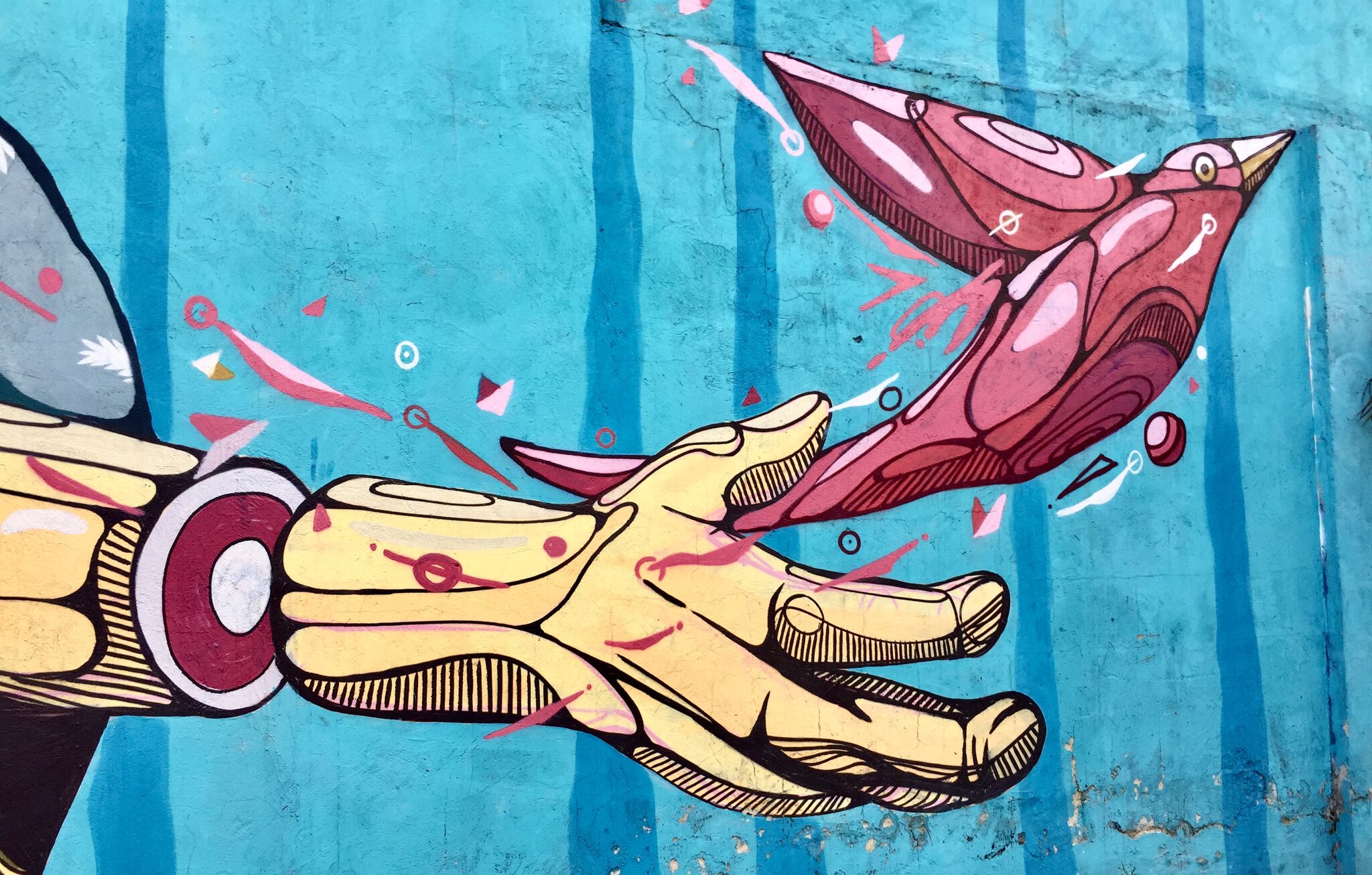 Unknown - Bogota&mdash;Bird / Pájaro