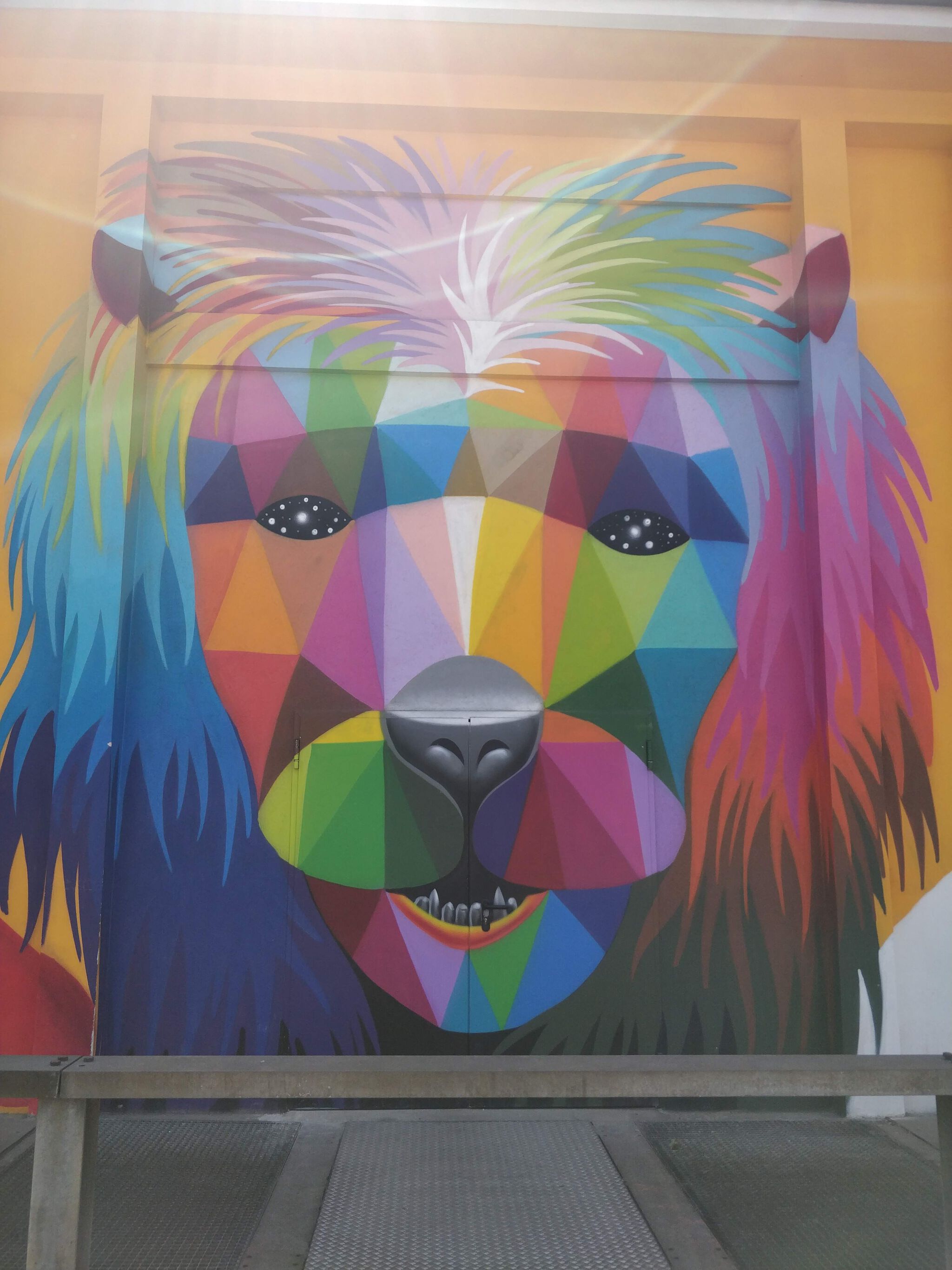 Okuda&mdash;No Borders for humans and animals