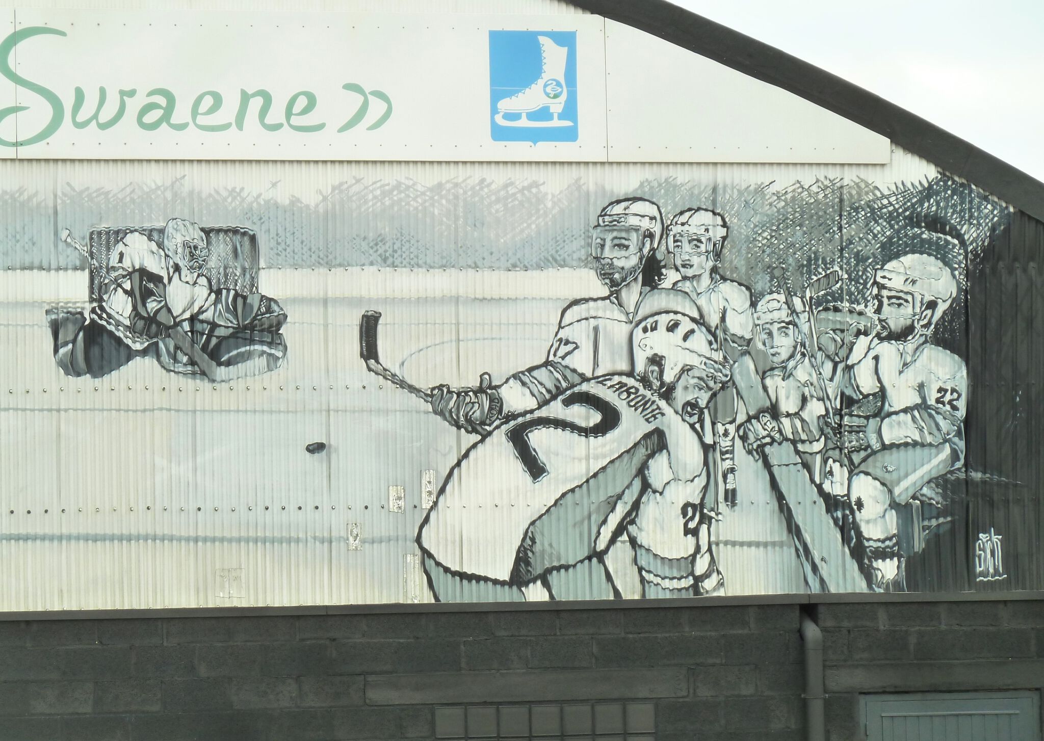Sick015&mdash;Icehockey players & Figure skater