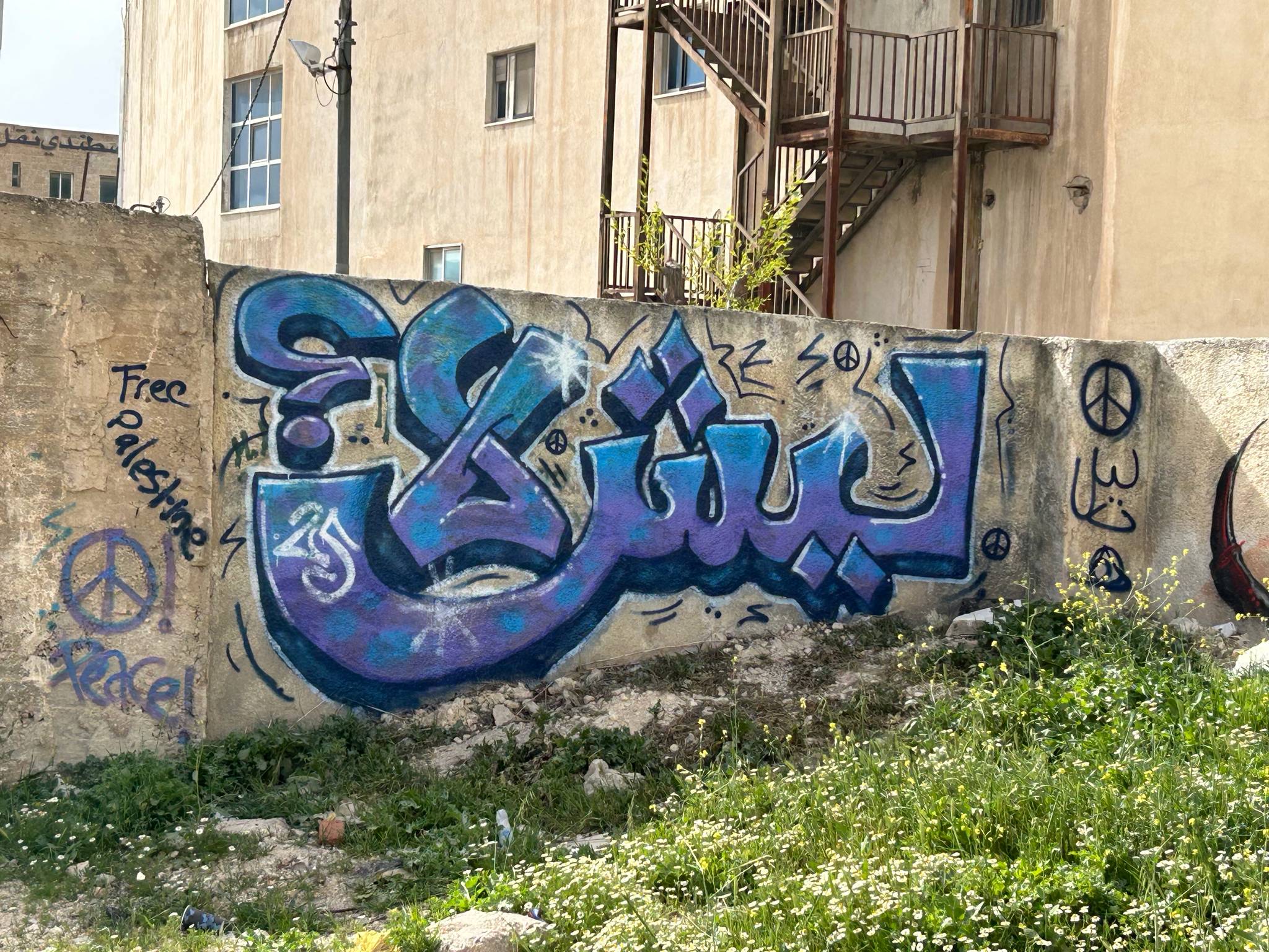 Misk&mdash;Why not