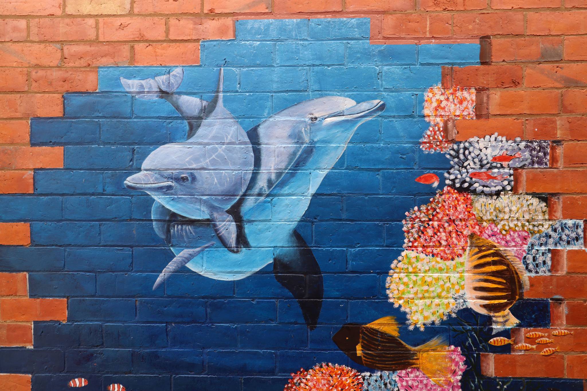 Unknown - Echuca&mdash;undefined