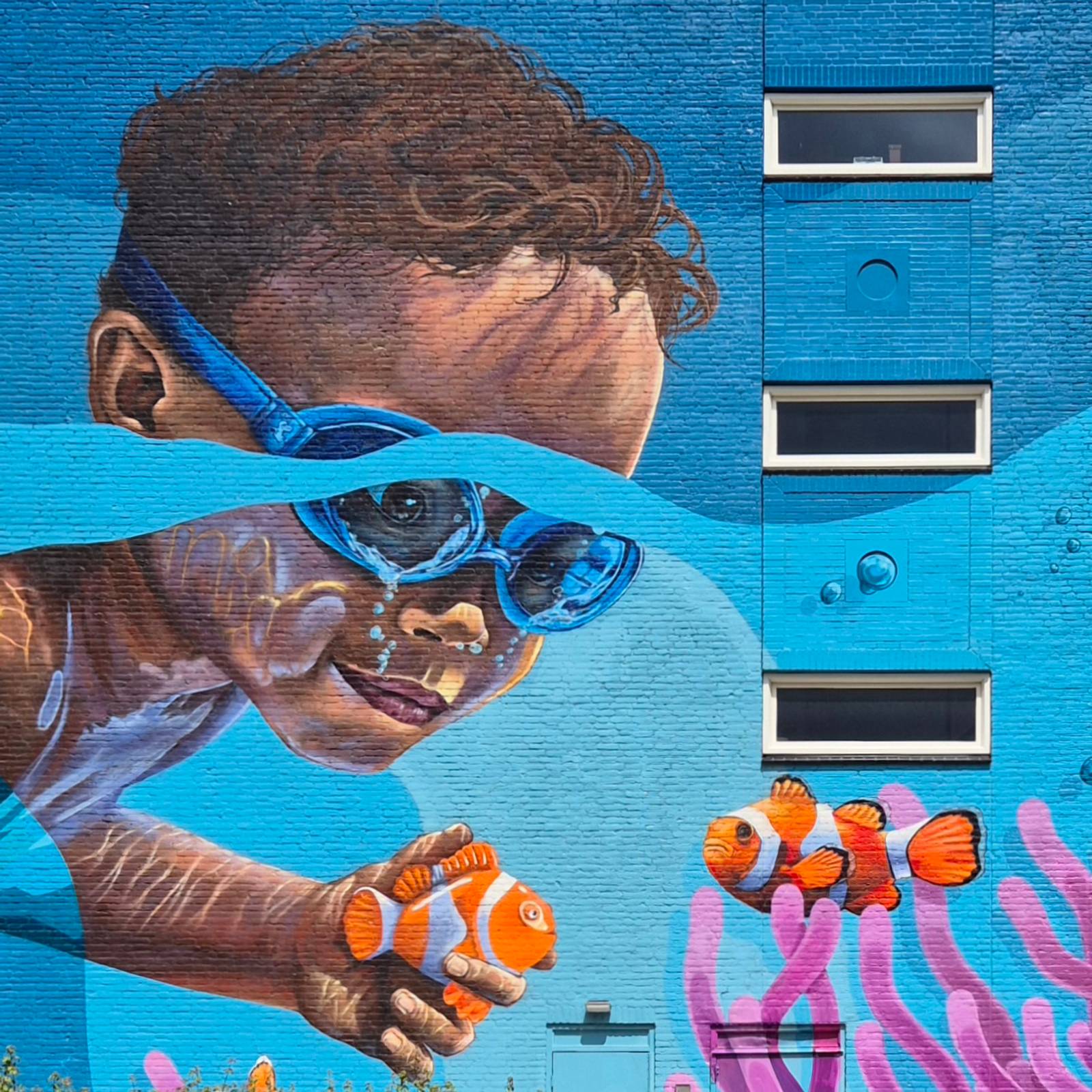 Tim Rodermans&mdash;undefined