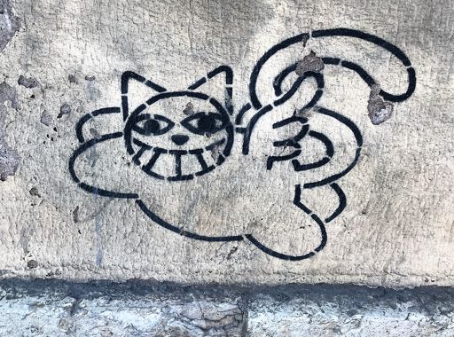Mr Chat Résistant