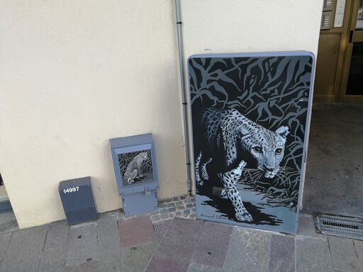 felines in the city