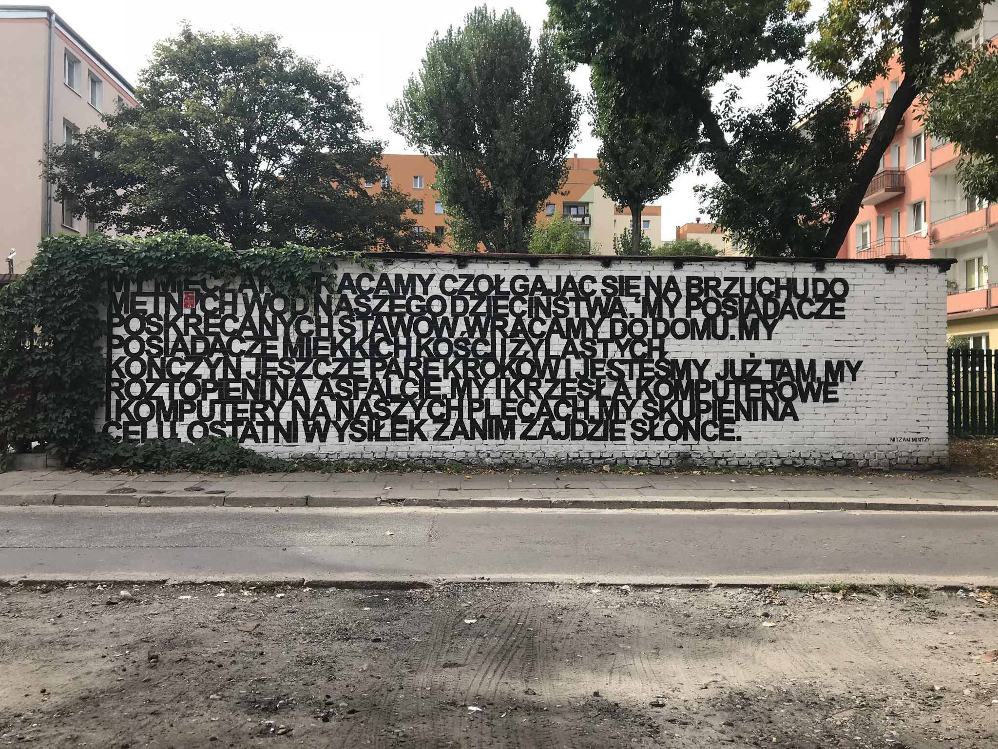 Nitzan Mintz&mdash;Untitled