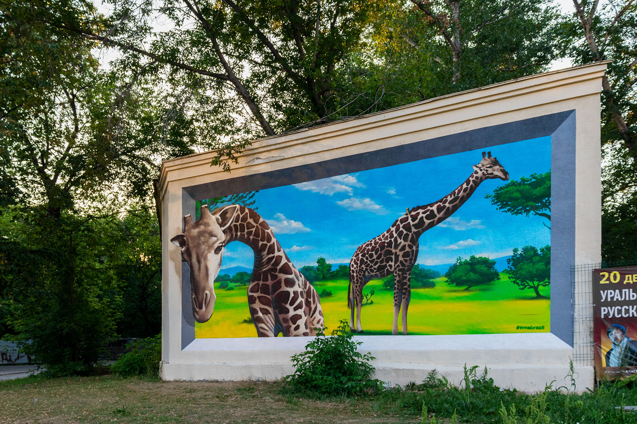 Timur Brazil&mdash;Giraffes