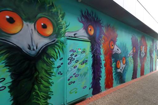 Emus