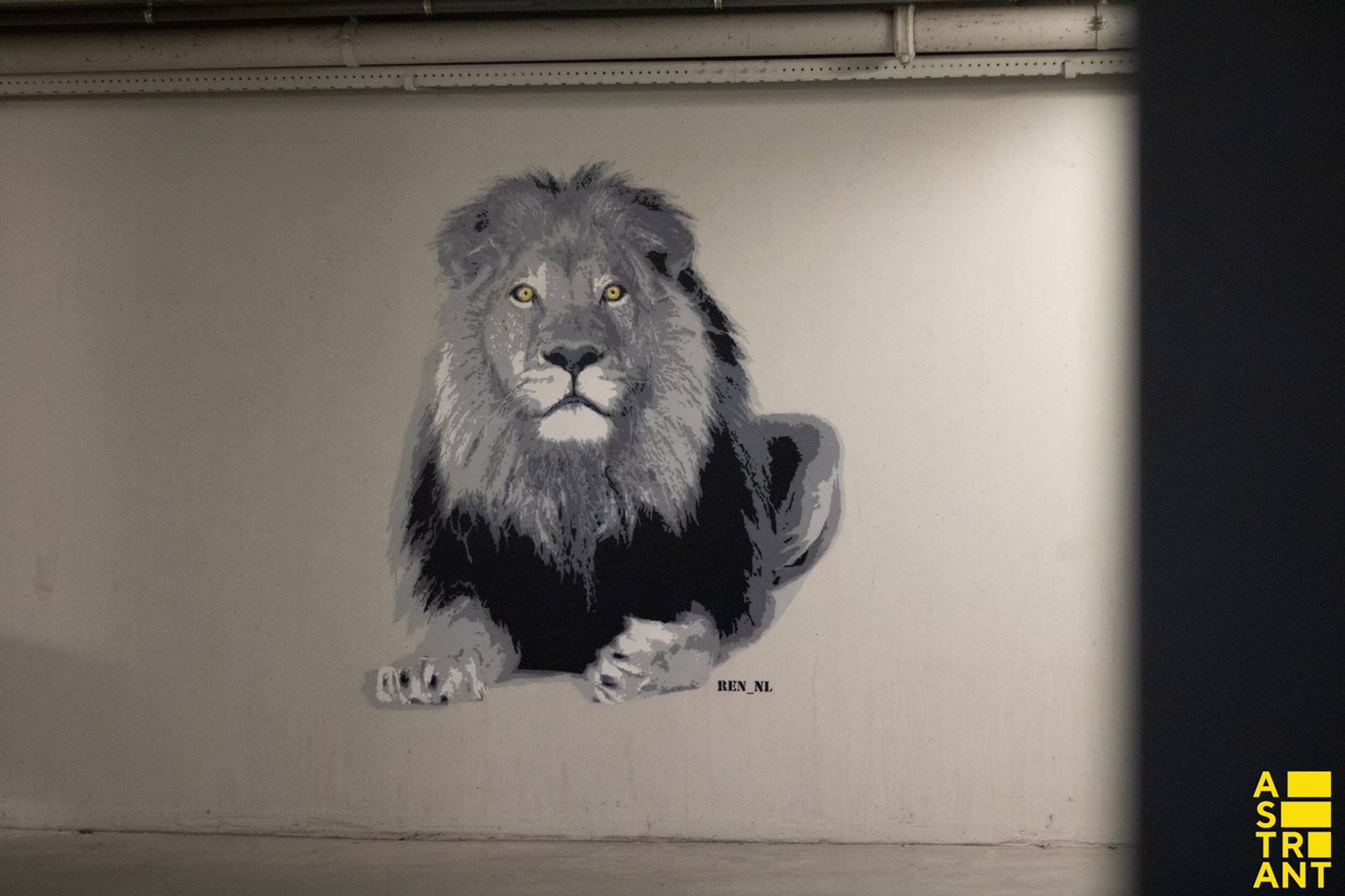 Renske Koster&mdash;Pathé Ede - Lion