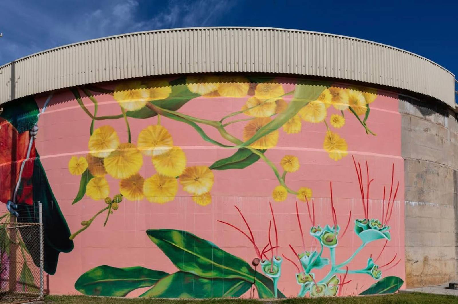 Amanda Newman&mdash;Paradise Found - Bonny Hills Water Tower