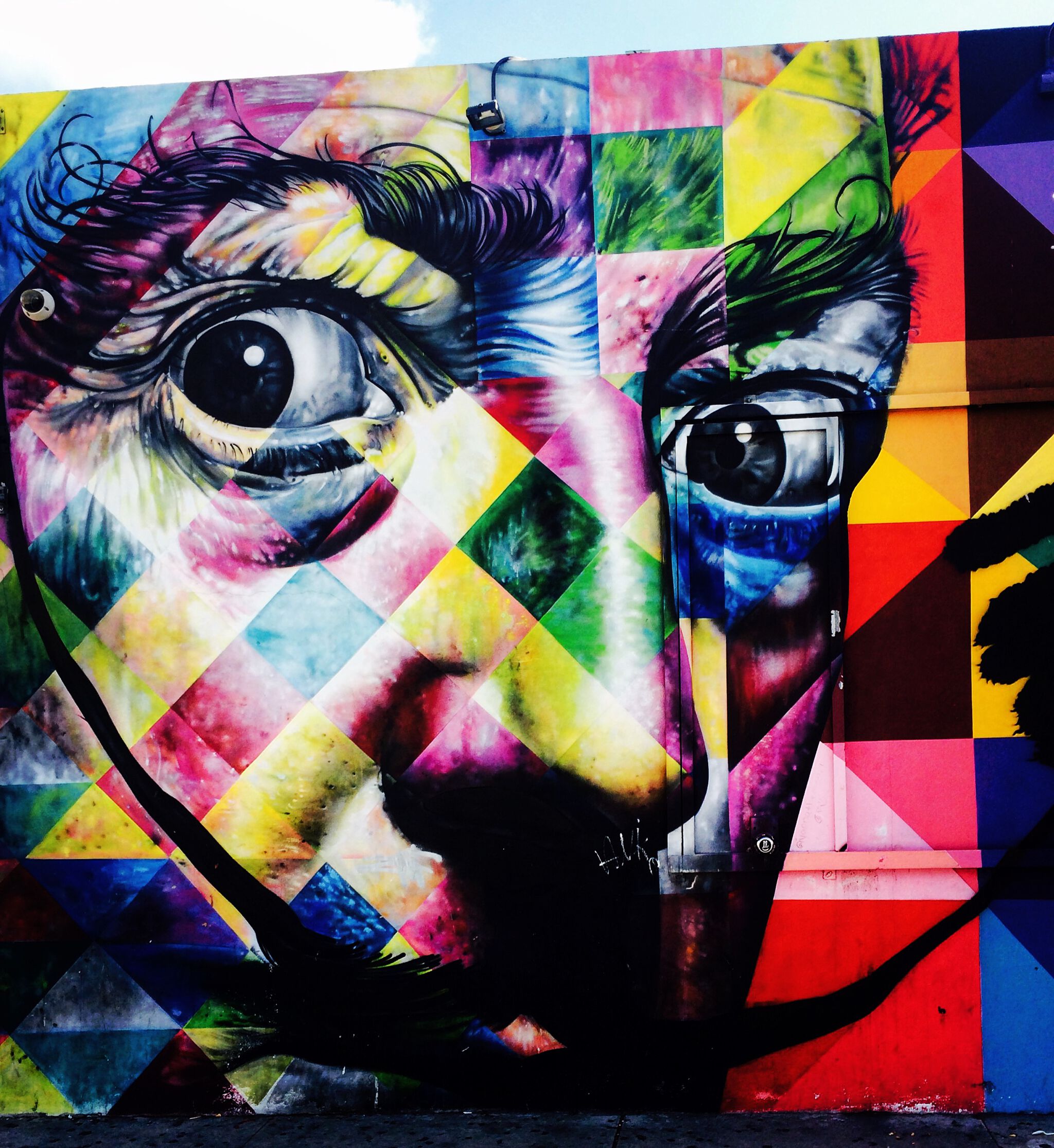 Eduardo Kobra&mdash;Salvator Dali
