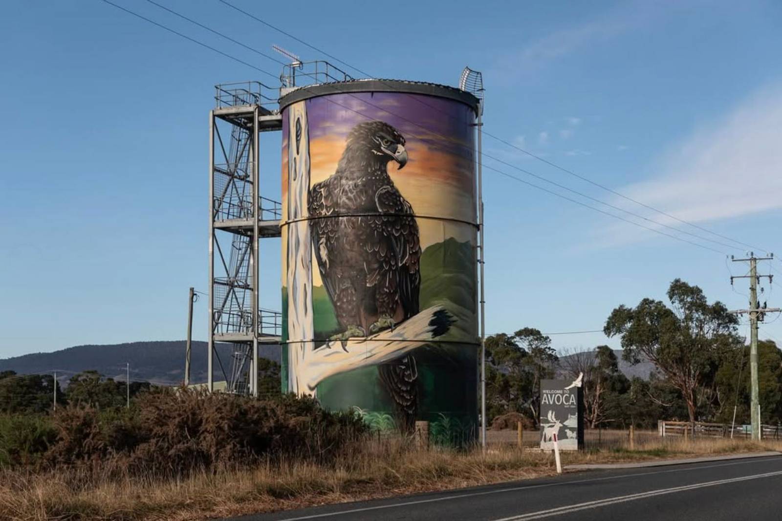 Kream Art&mdash;Wedge-tailed Eagle