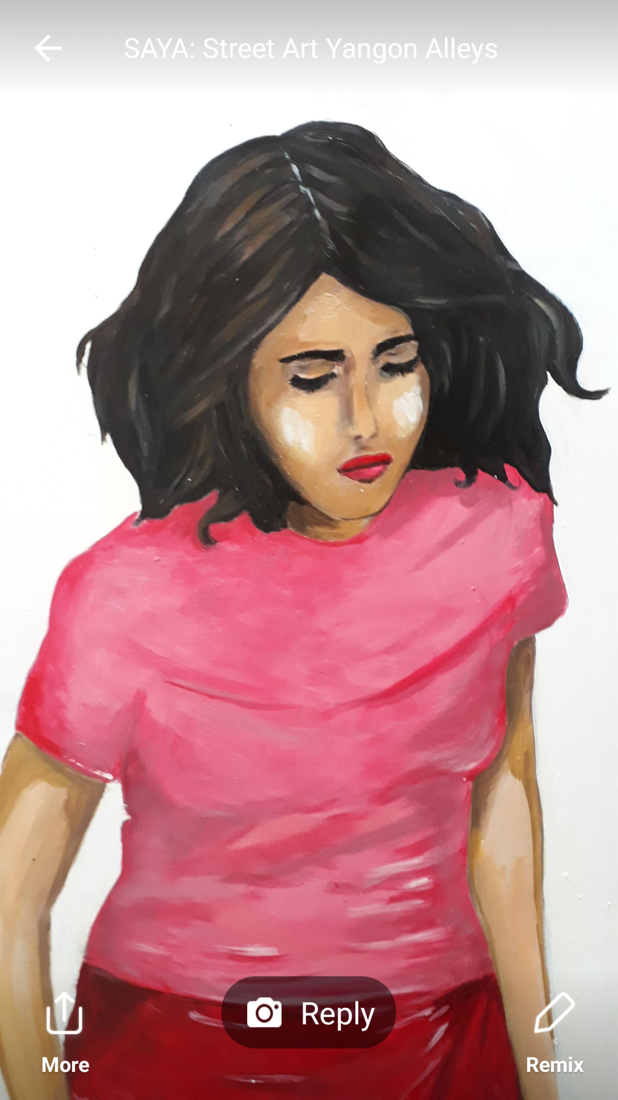 Delphine de Lorme&mdash;6 burmese with a broom