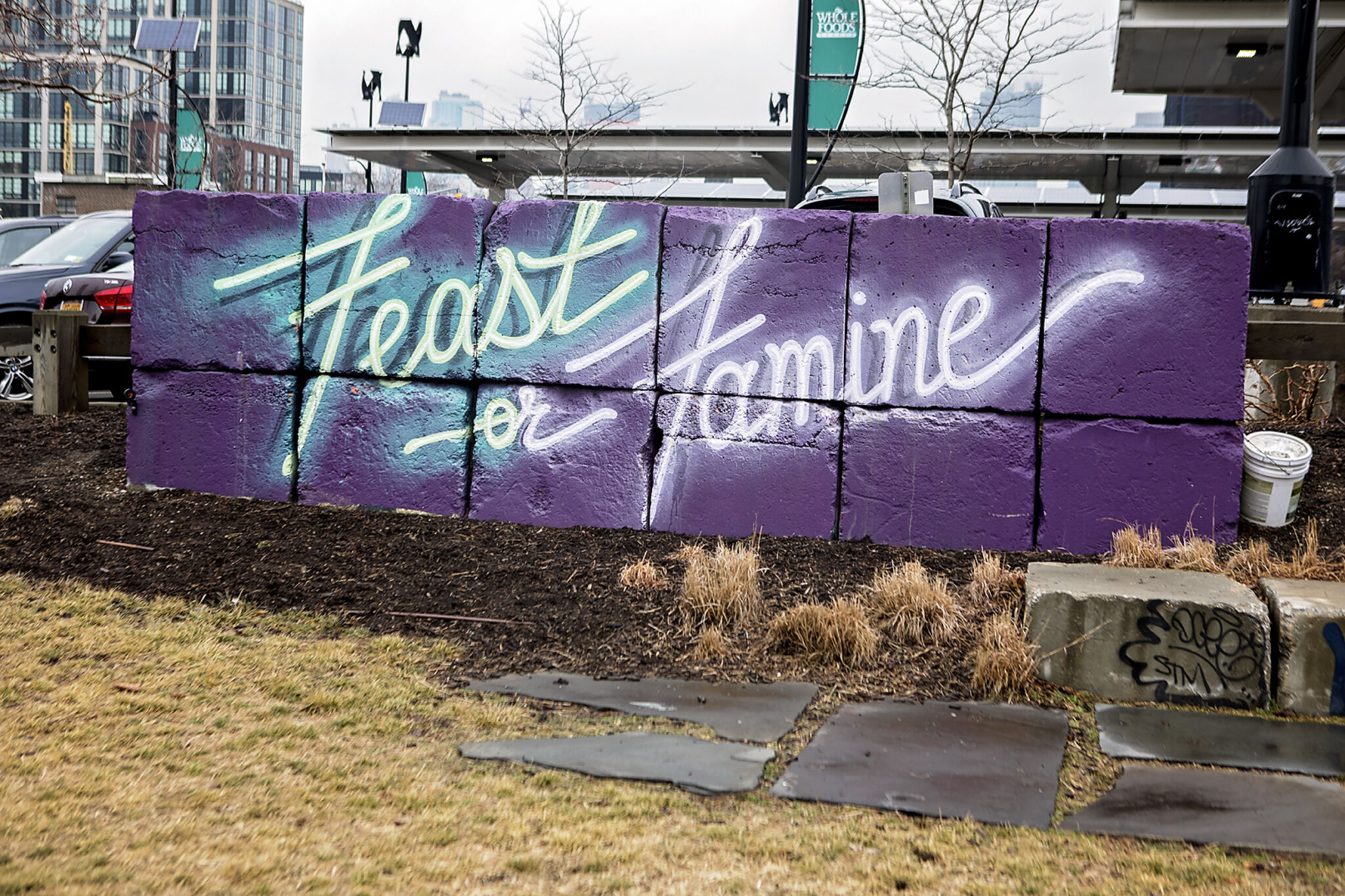 Adam Fujita&mdash;Feast or Famine