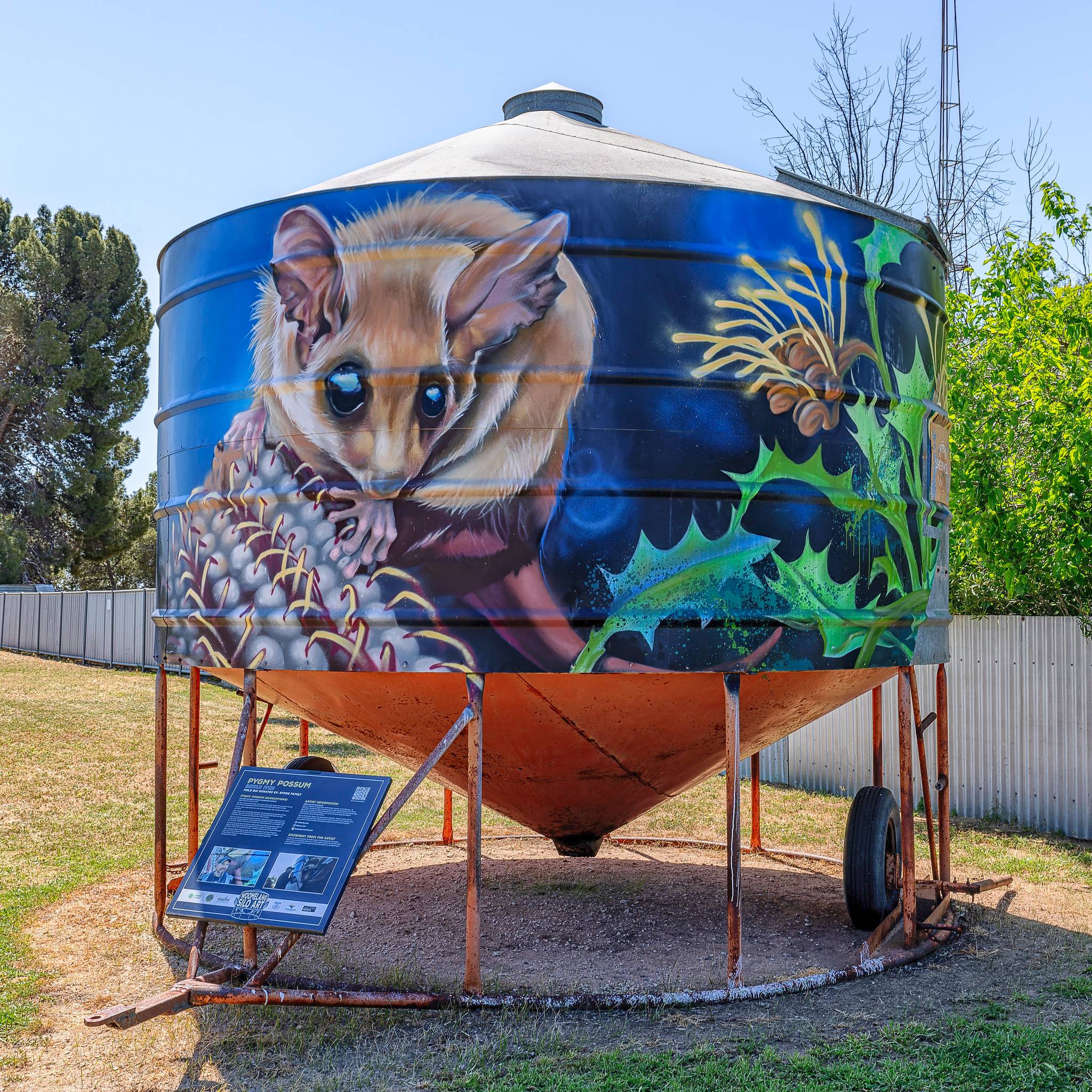 Bryan Itch&mdash;Pygmy Possum