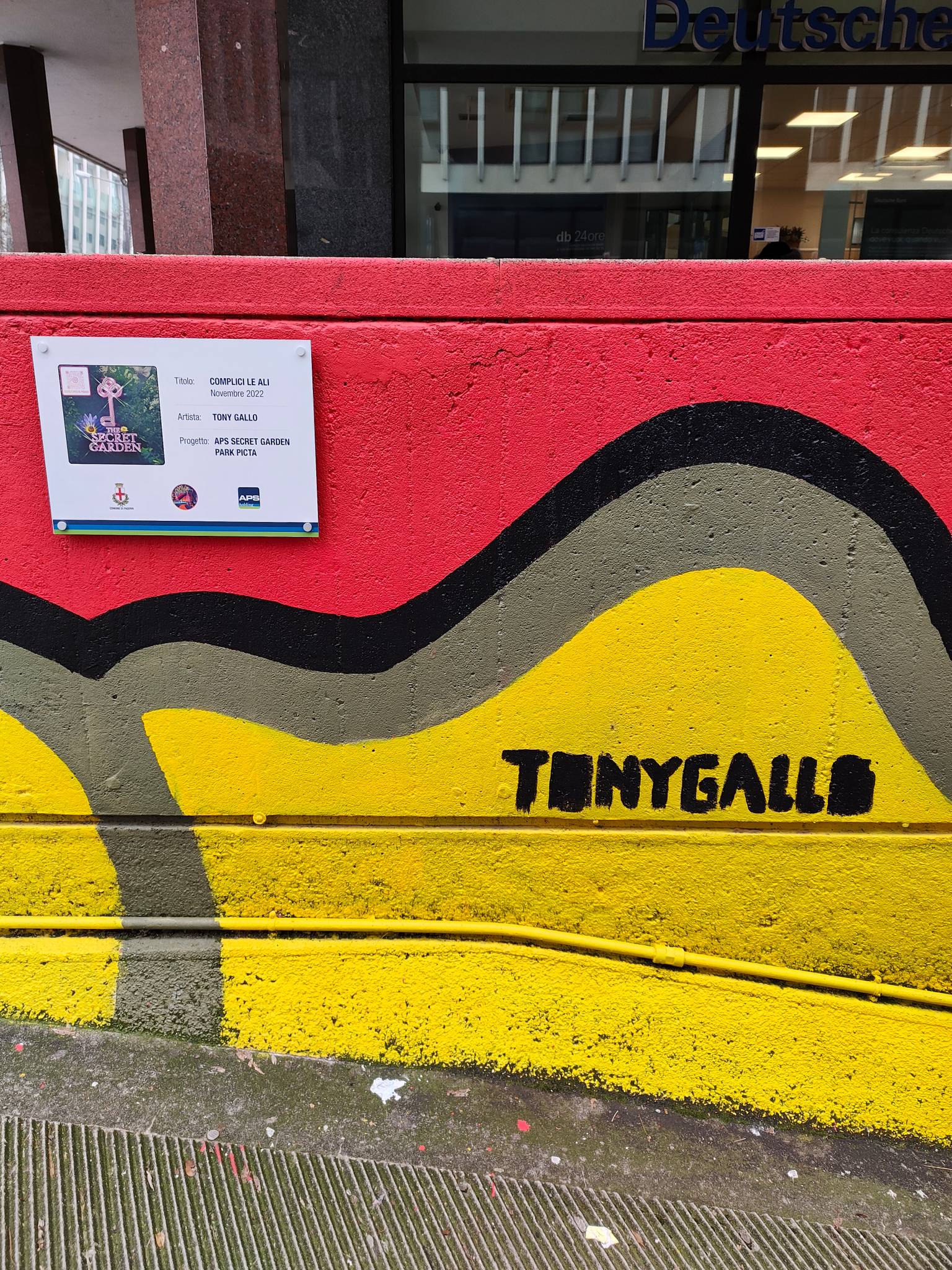 Tony Gallo&mdash;undefined