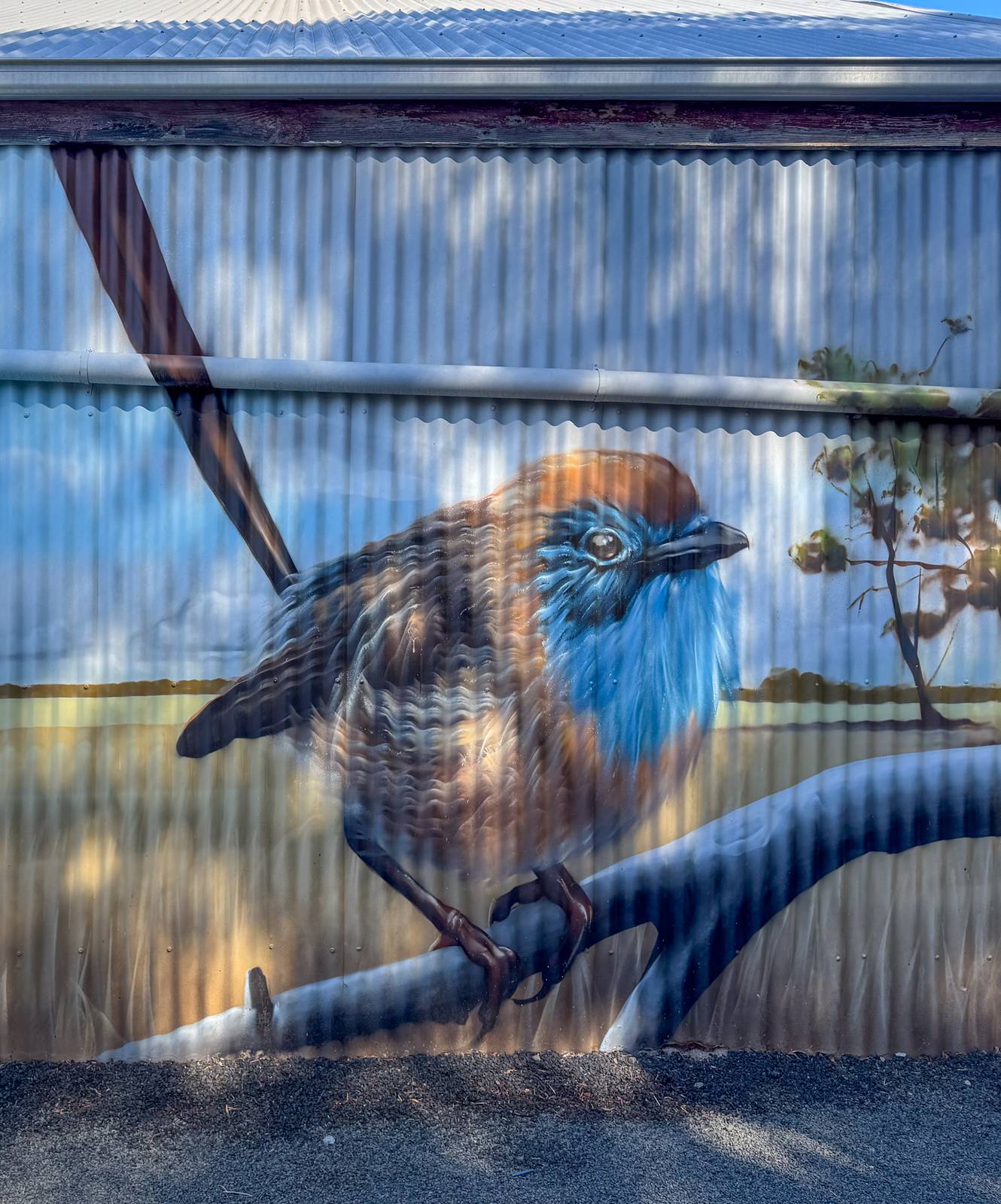 Smug&mdash;Mallee Emu Wren Mural